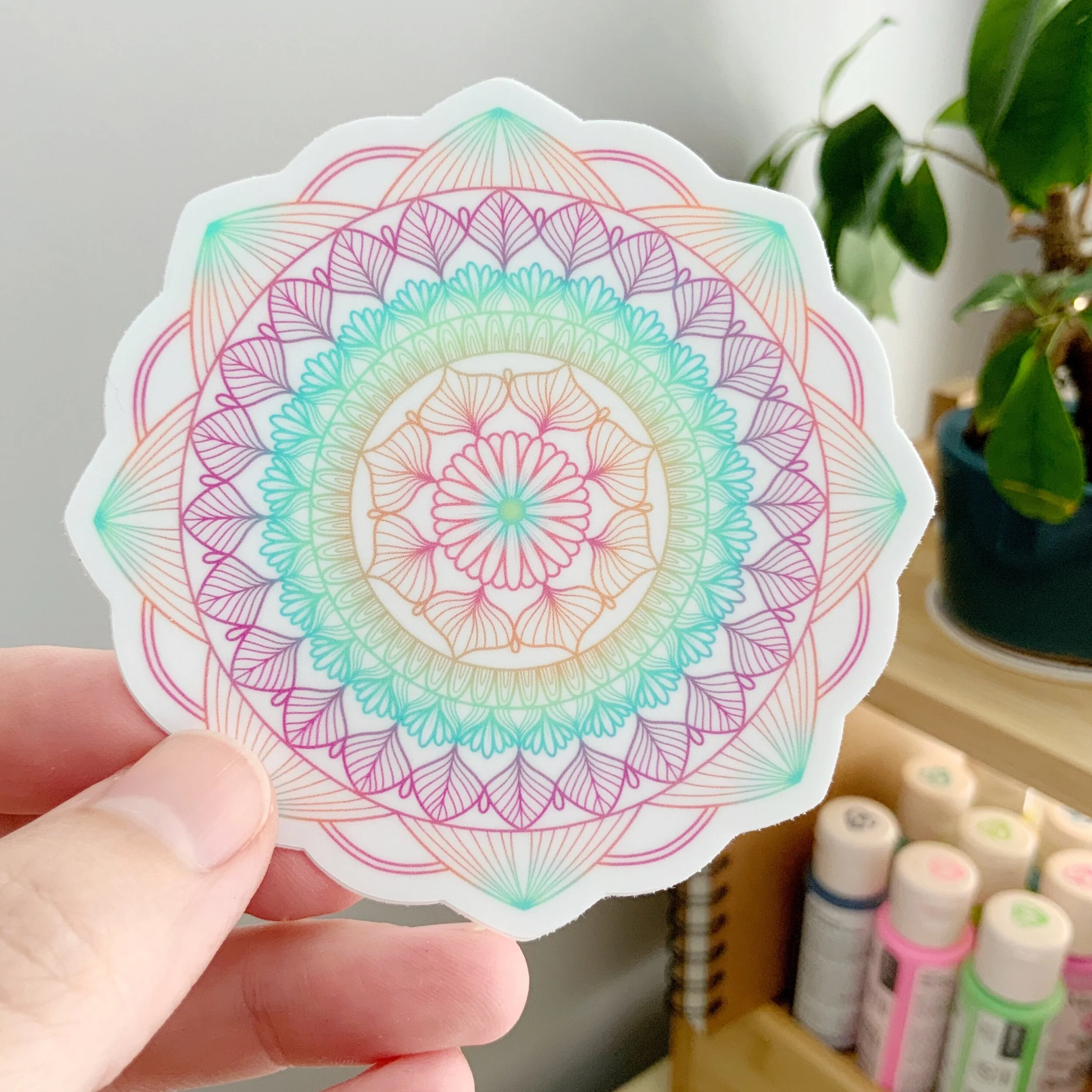 24B48B64-0C45-4264-80E2-BD93B5F5571C