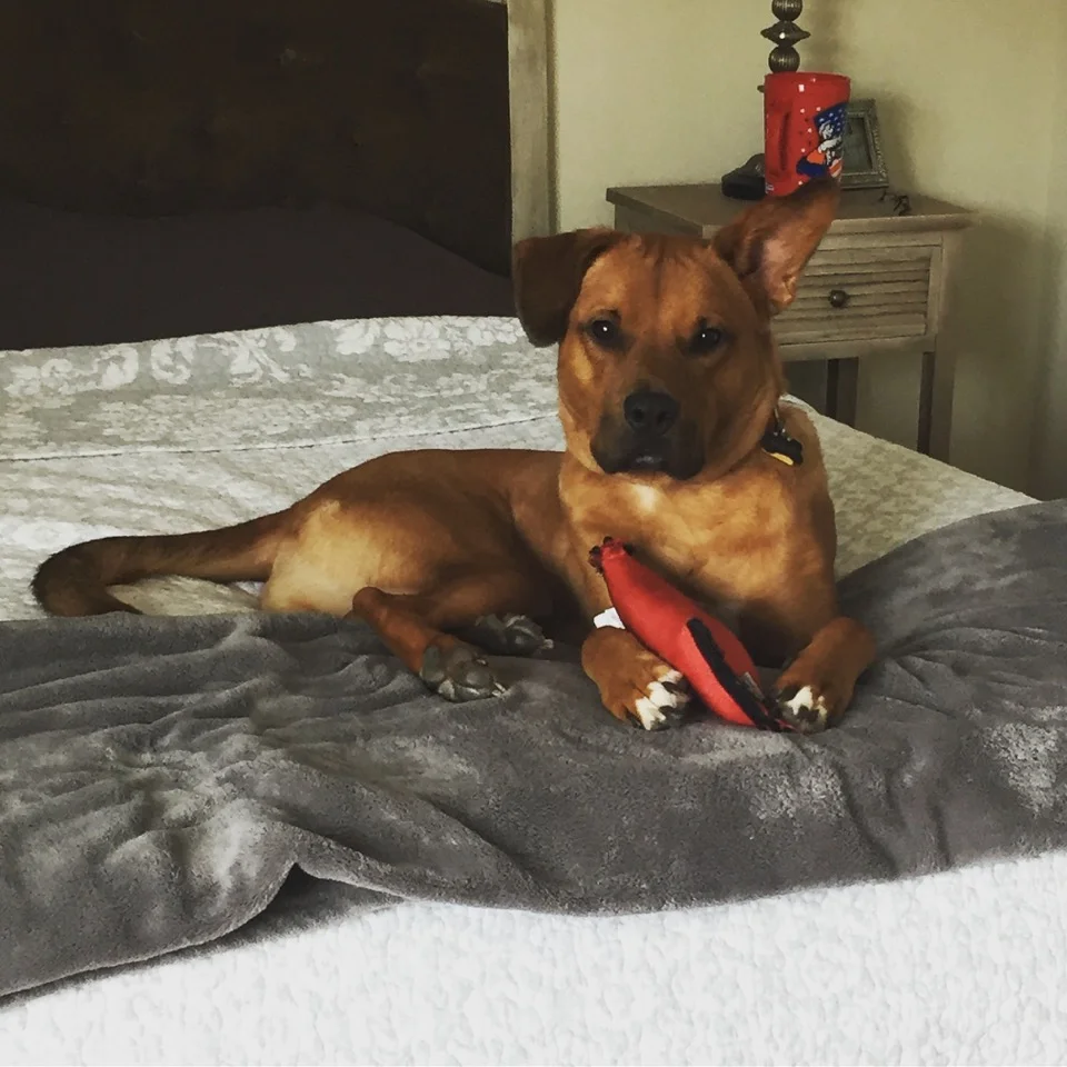 radar on bed.jpg