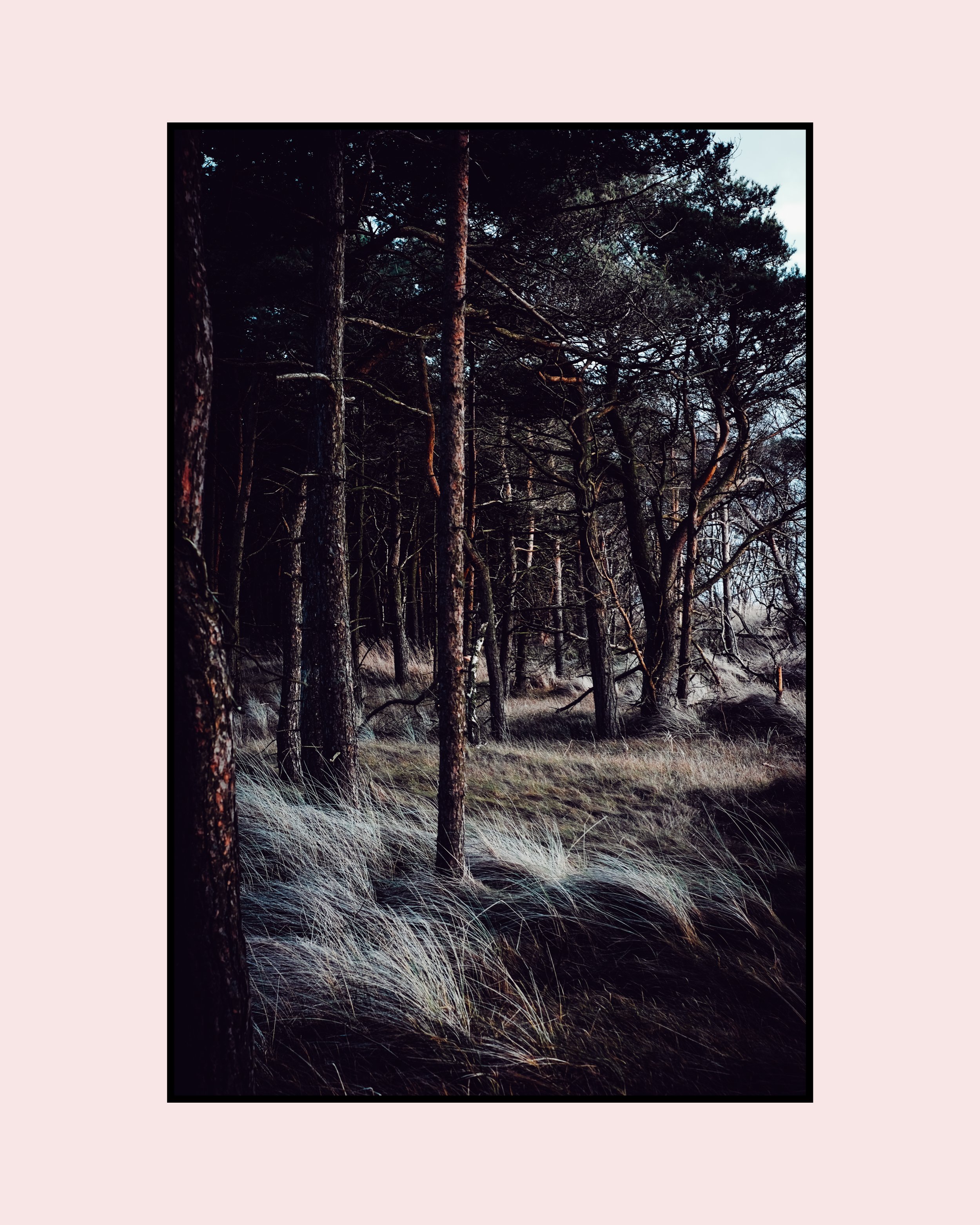 In Search Of 9.jpg