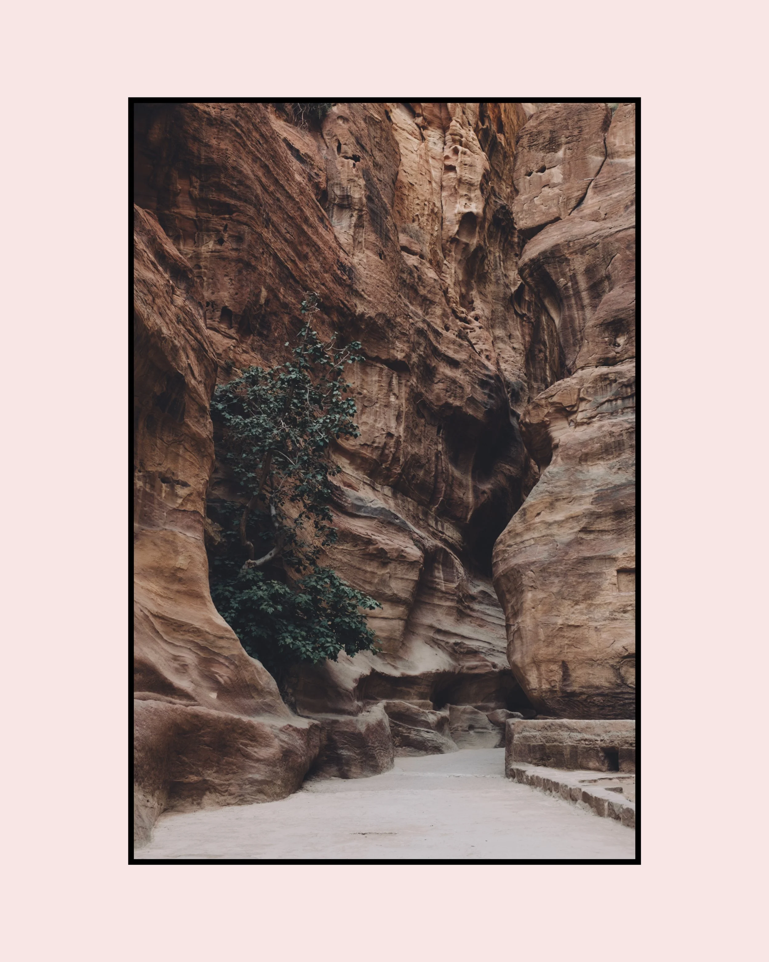 In Search Of 18.jpg