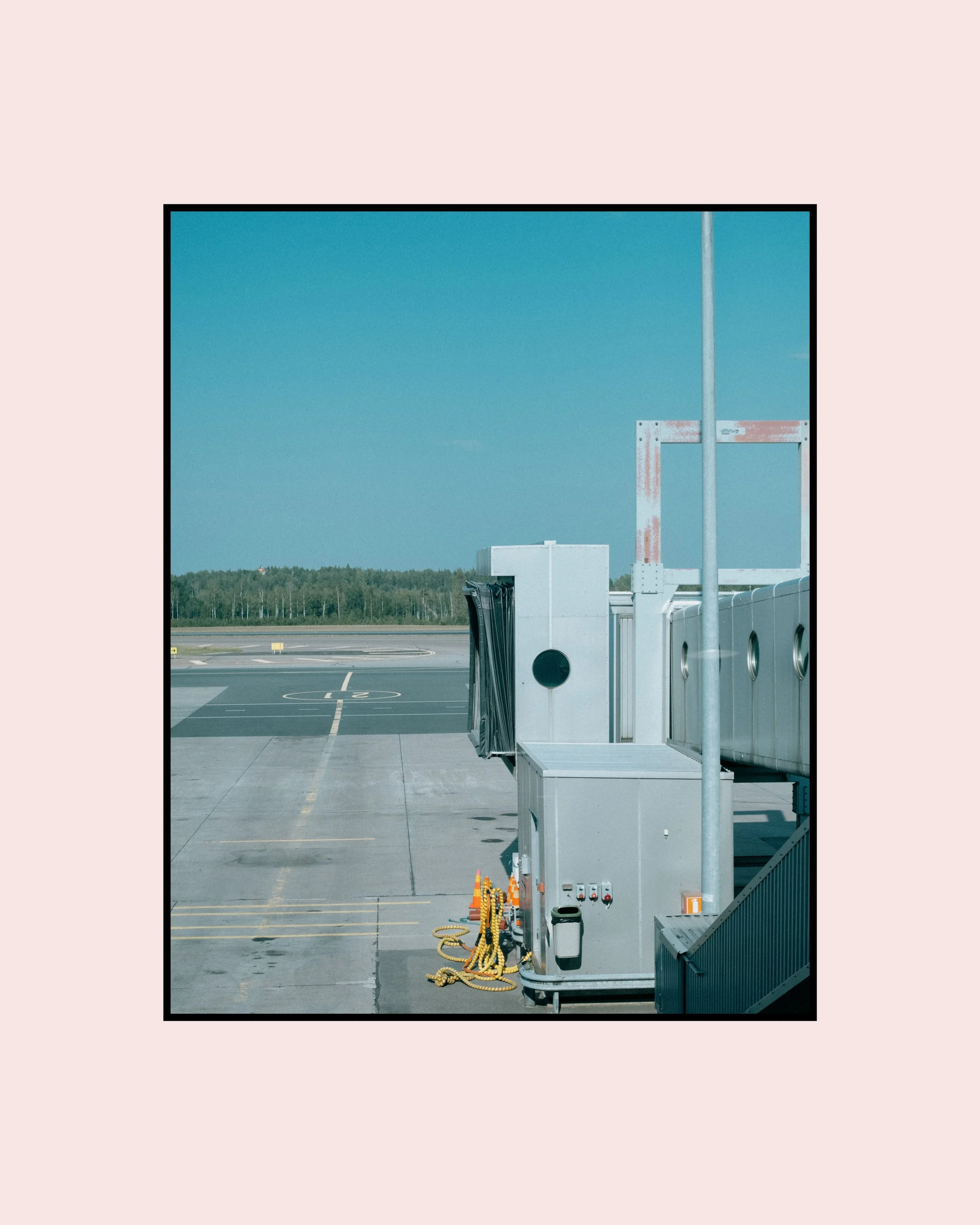 In search of 2-43.jpg