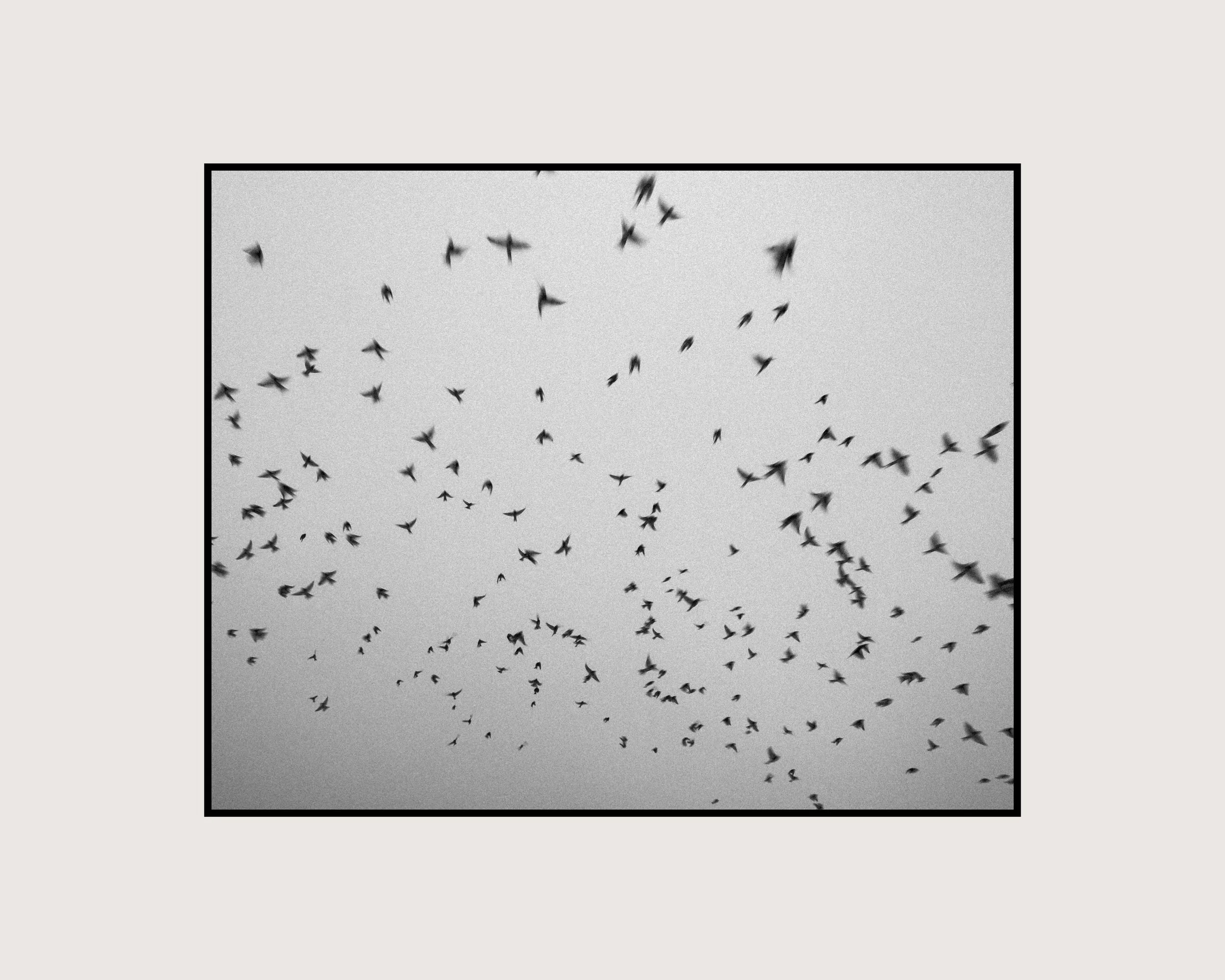 Now Here Gone 2-35.jpg