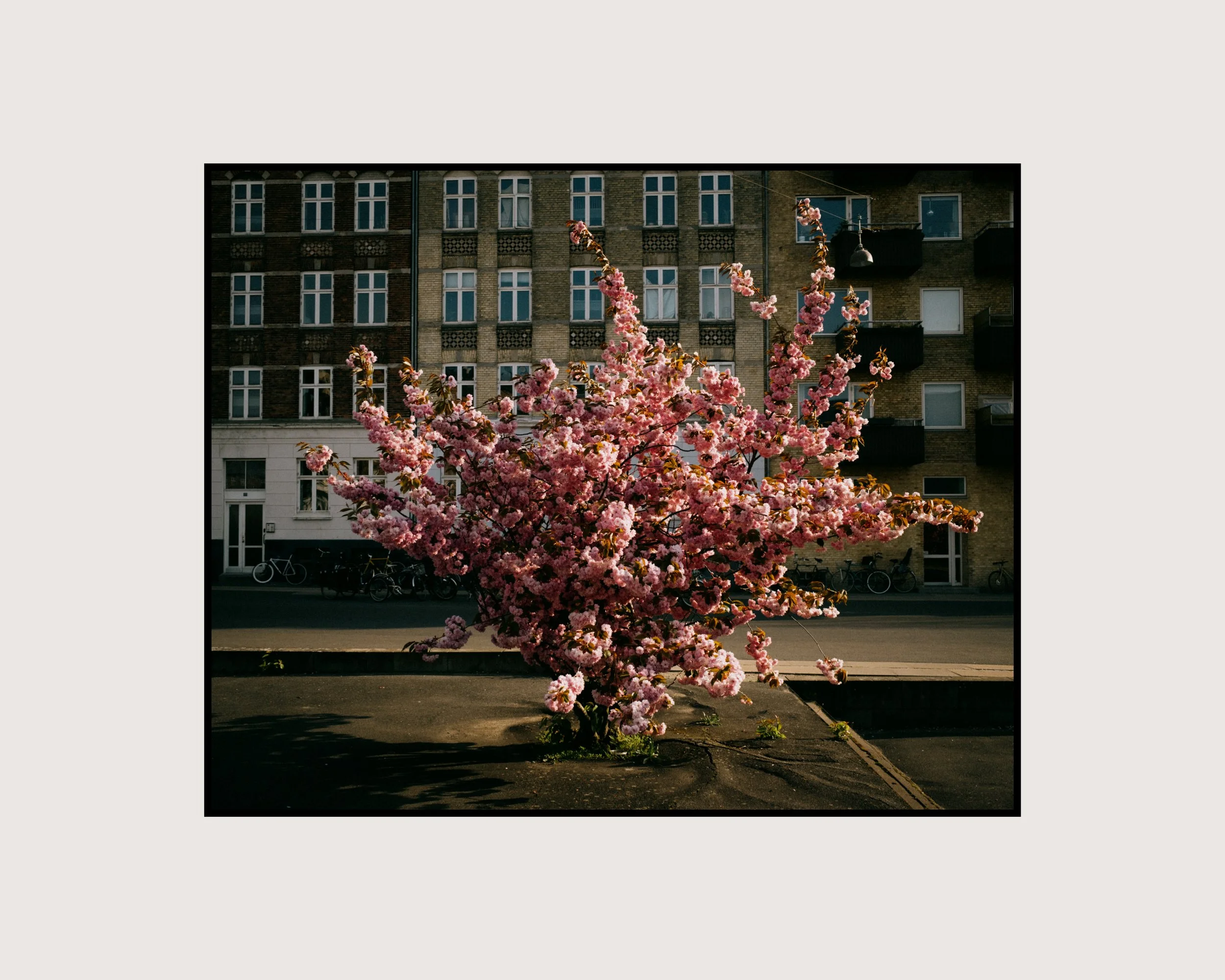 Now Here, Gone 11.jpg