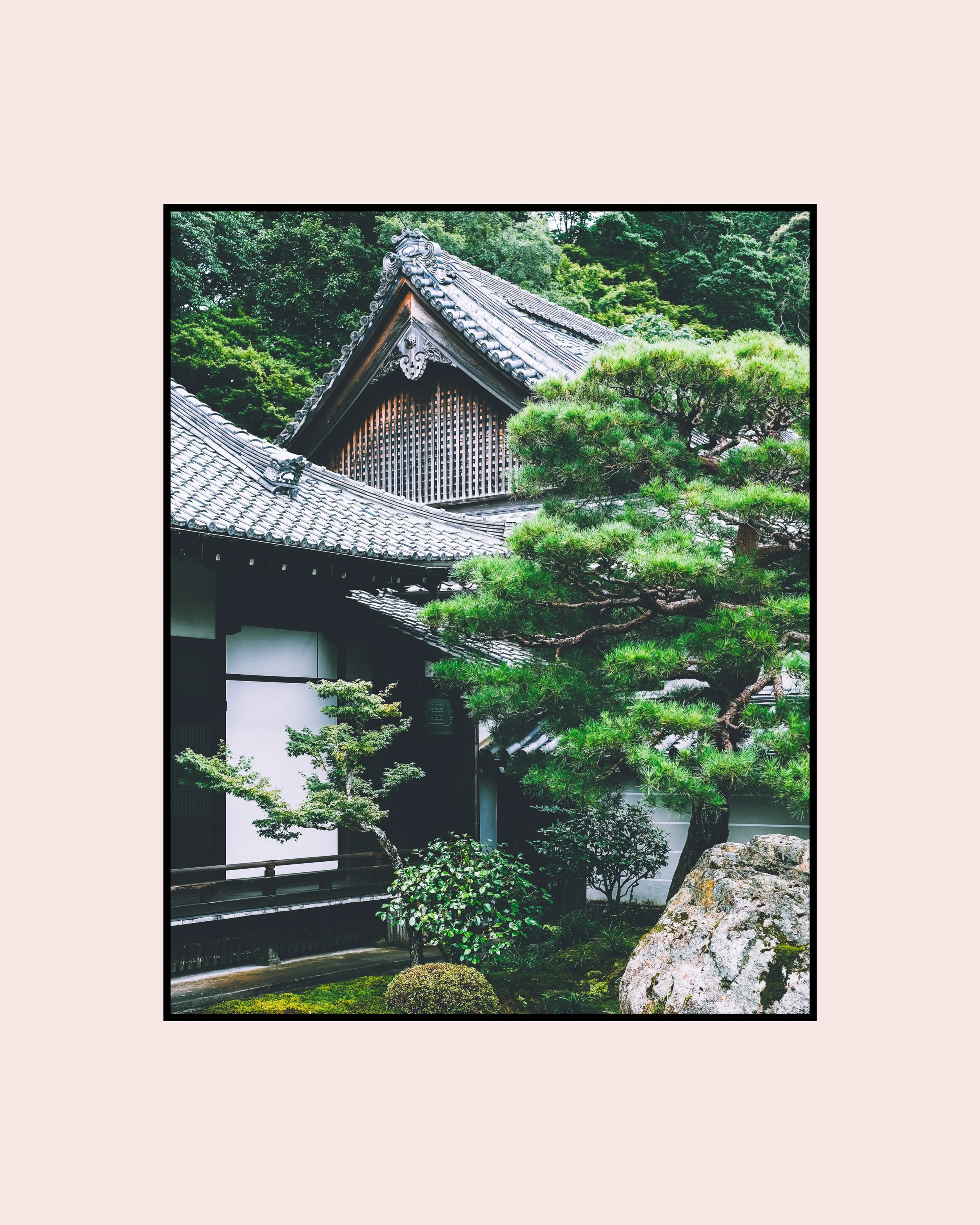 In Search Of 2-13.jpg