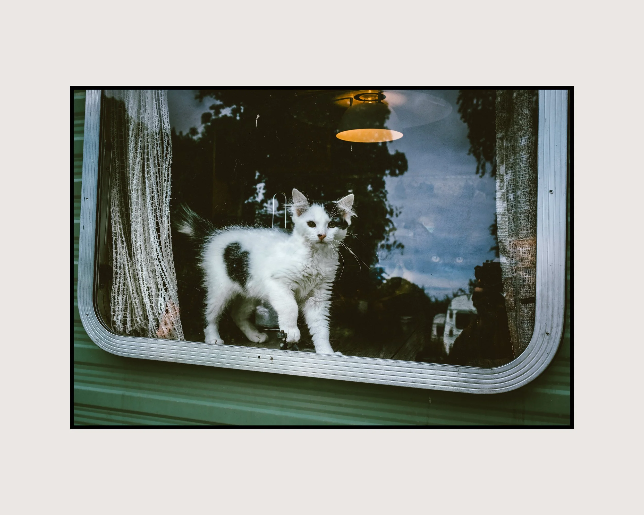 Now Here, Gone 6.jpg