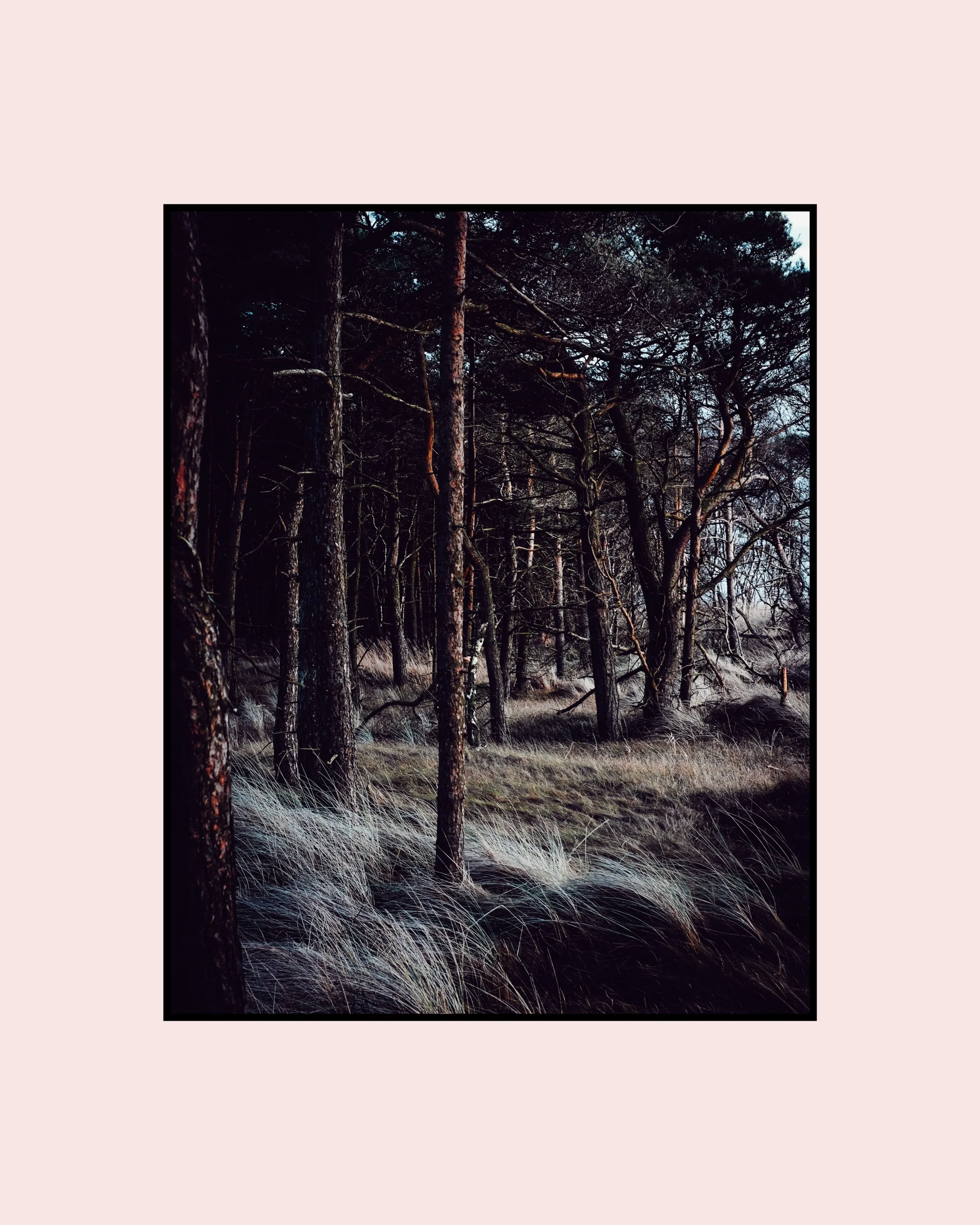 In Search Of 2-17.jpg