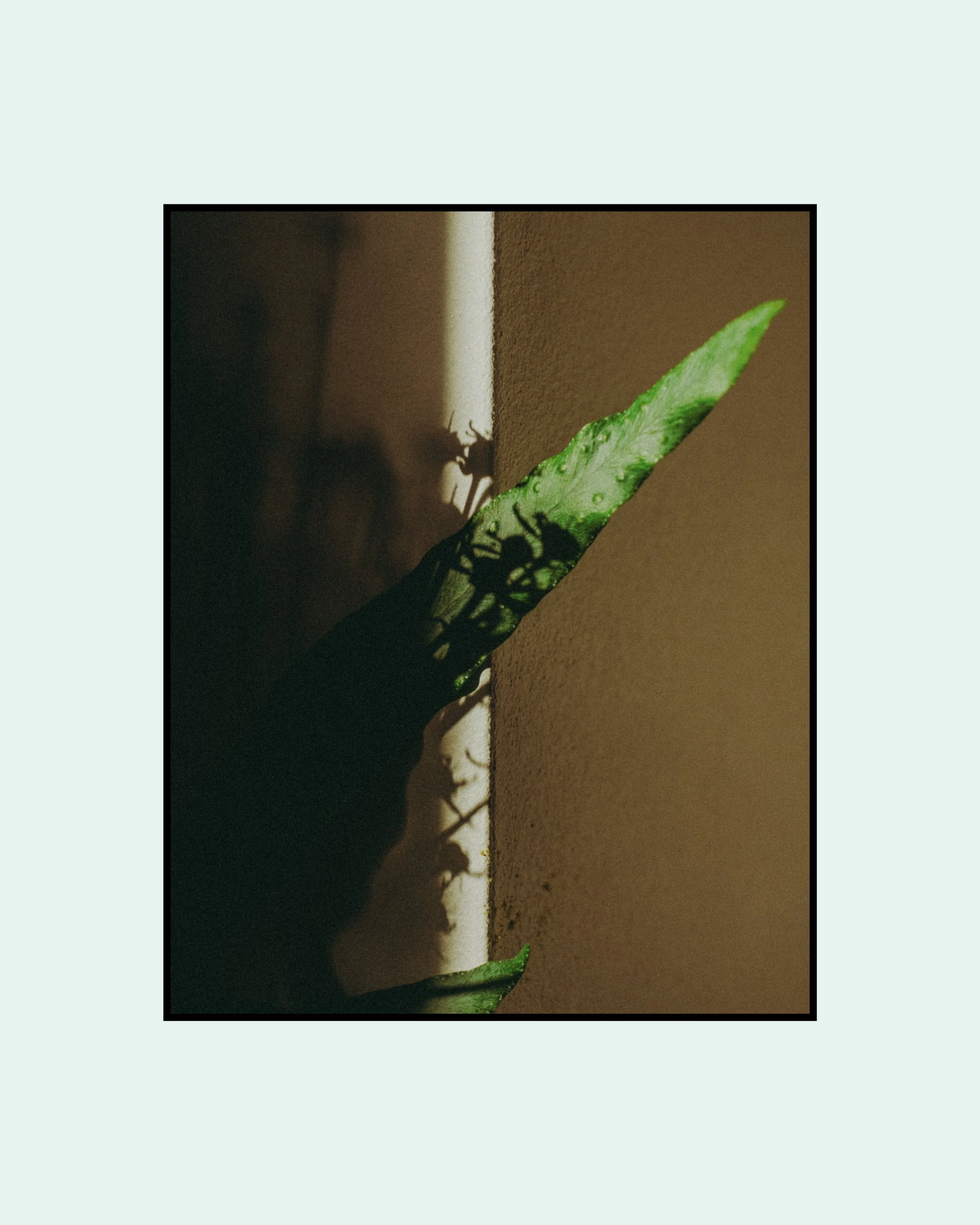 All. One. None. 17.jpg