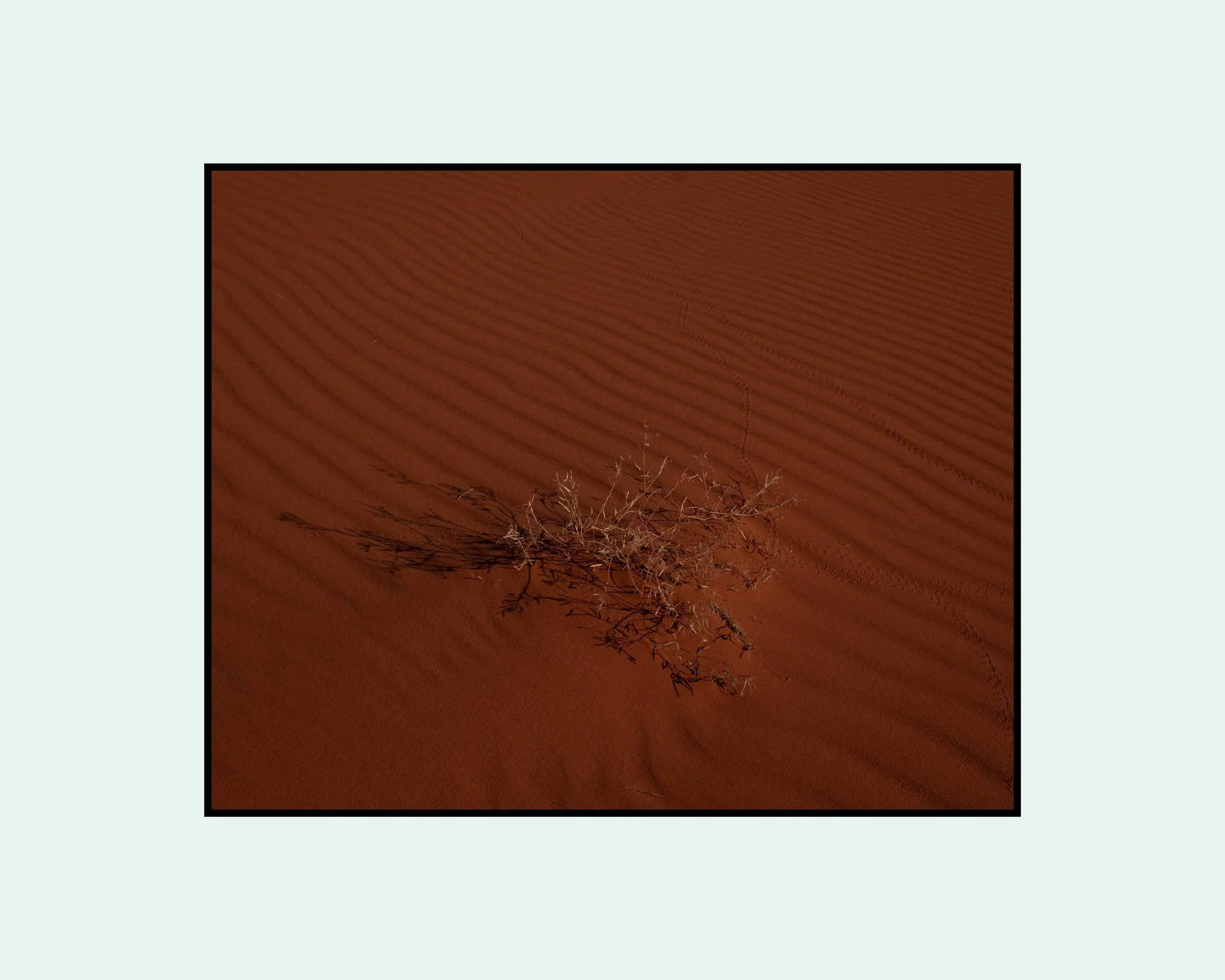 All. One. None. 16.jpg