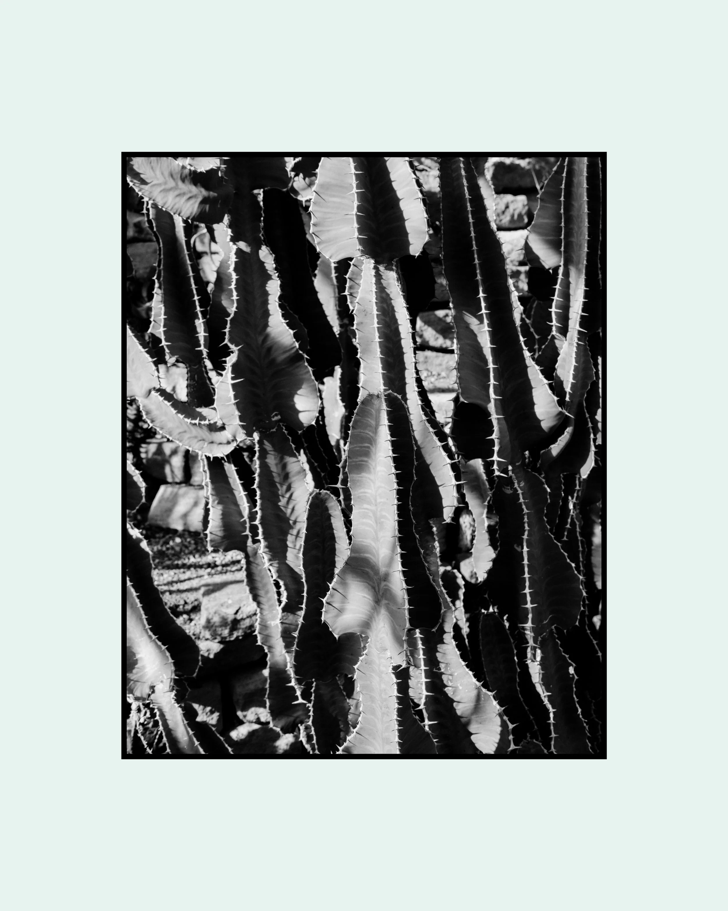 All. One. None. 3.jpg