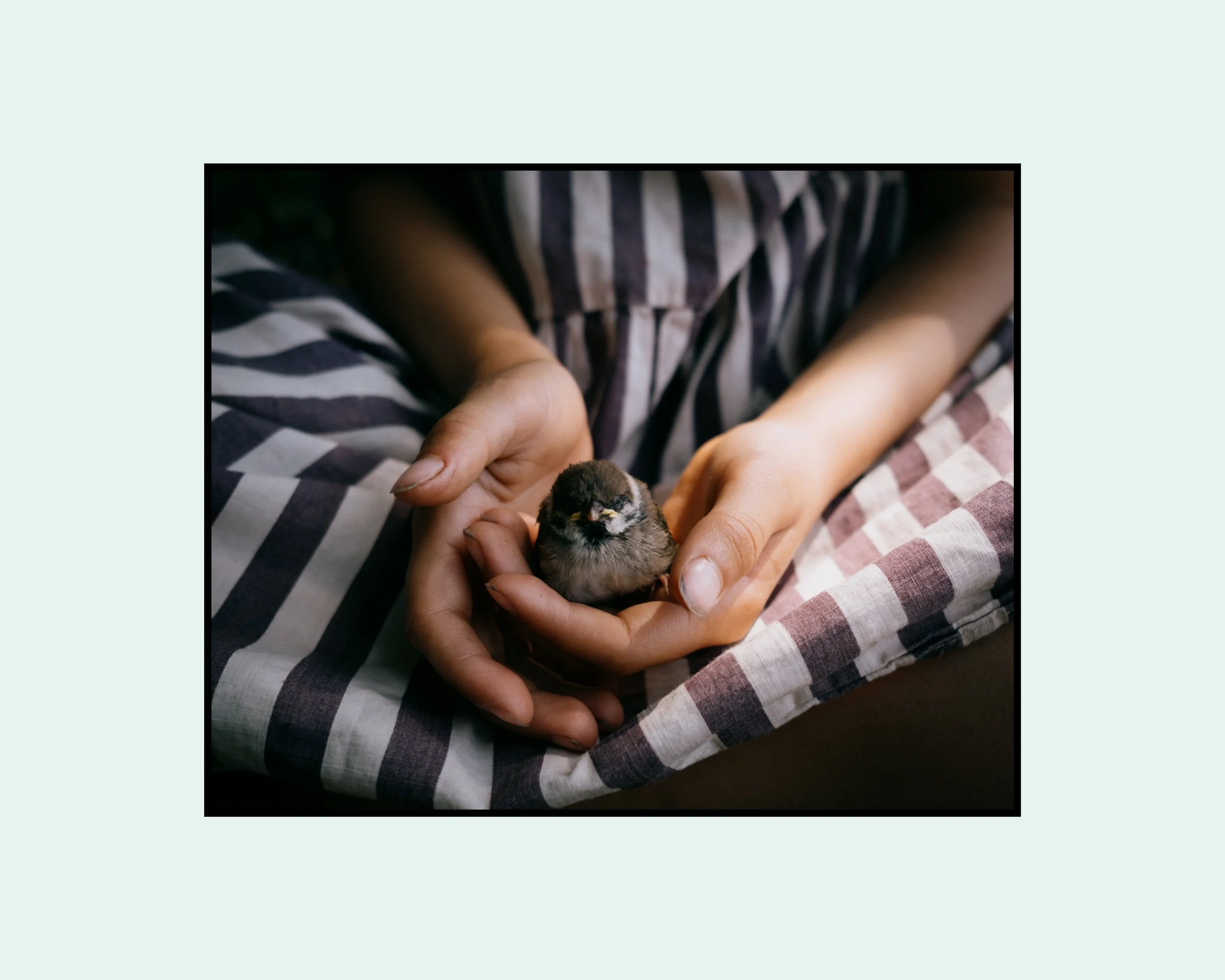 All. One. None. 7.jpg