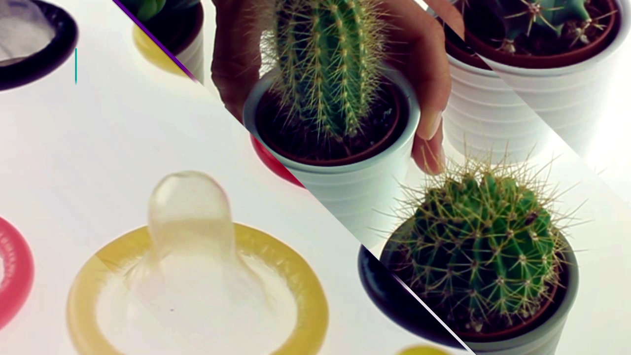 SEPARADOR_TATUAGENS_HD_audio (00101).jpg