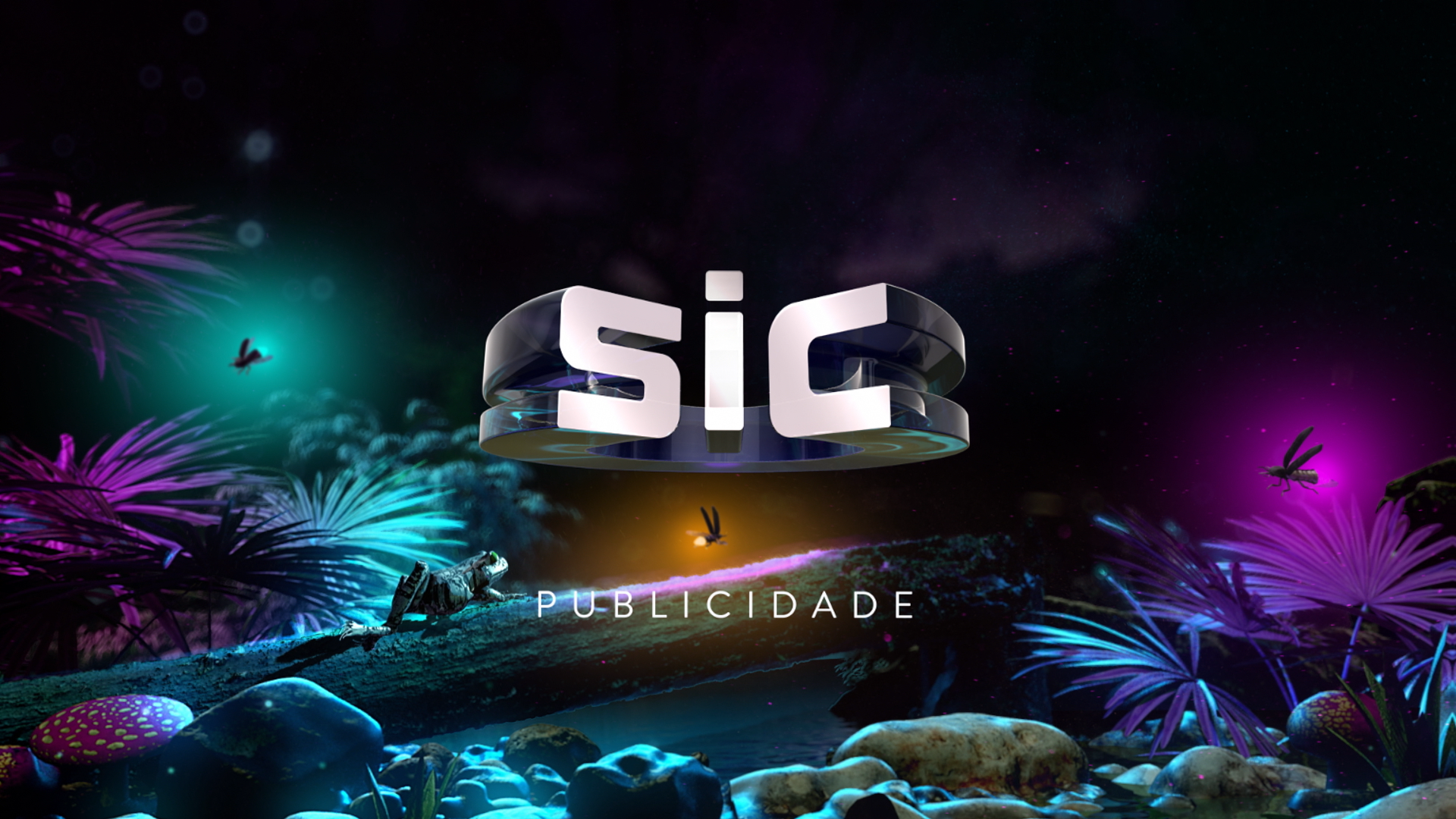 sic01.png