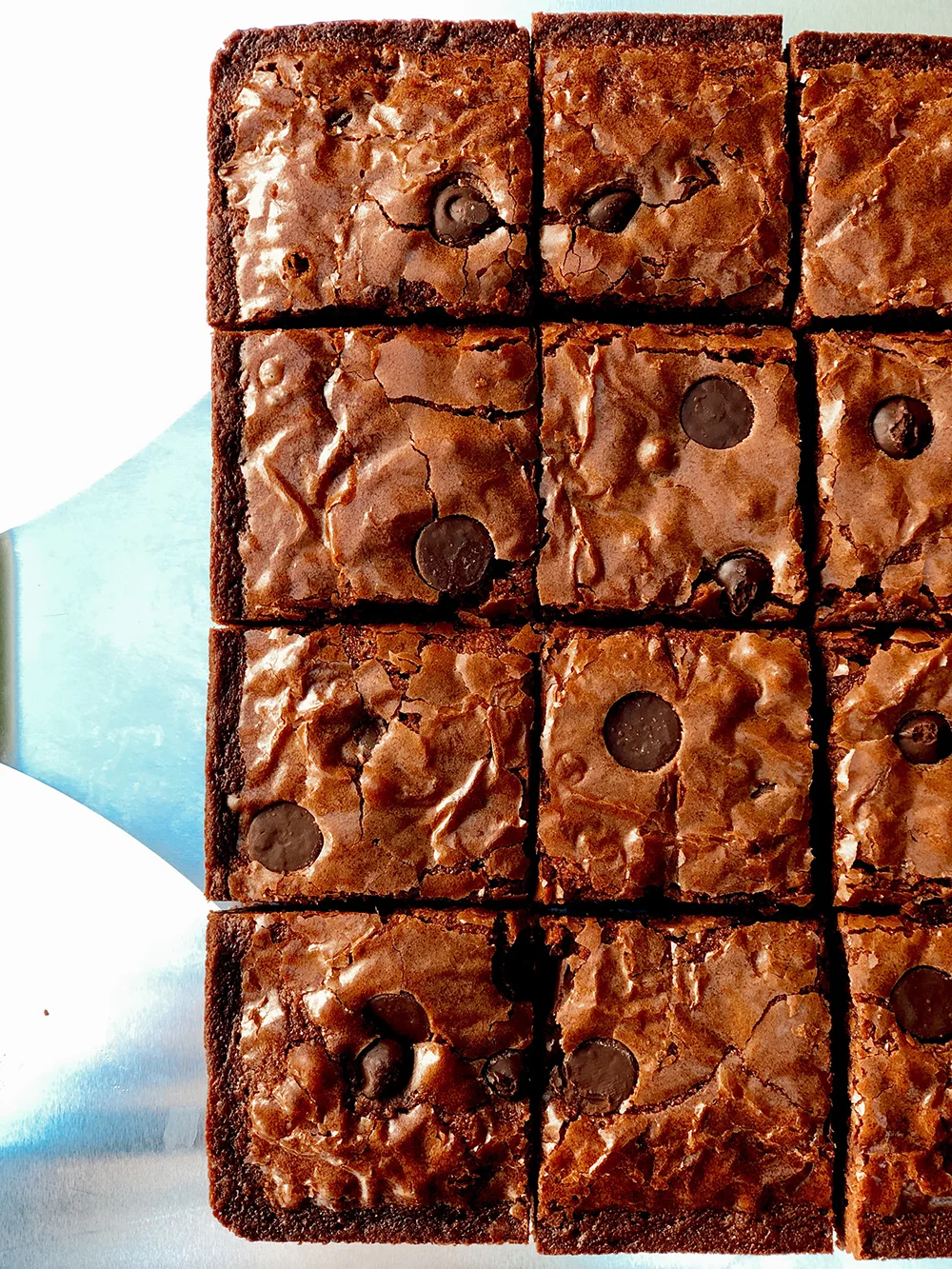 Double Chocolate Fudge Brownies