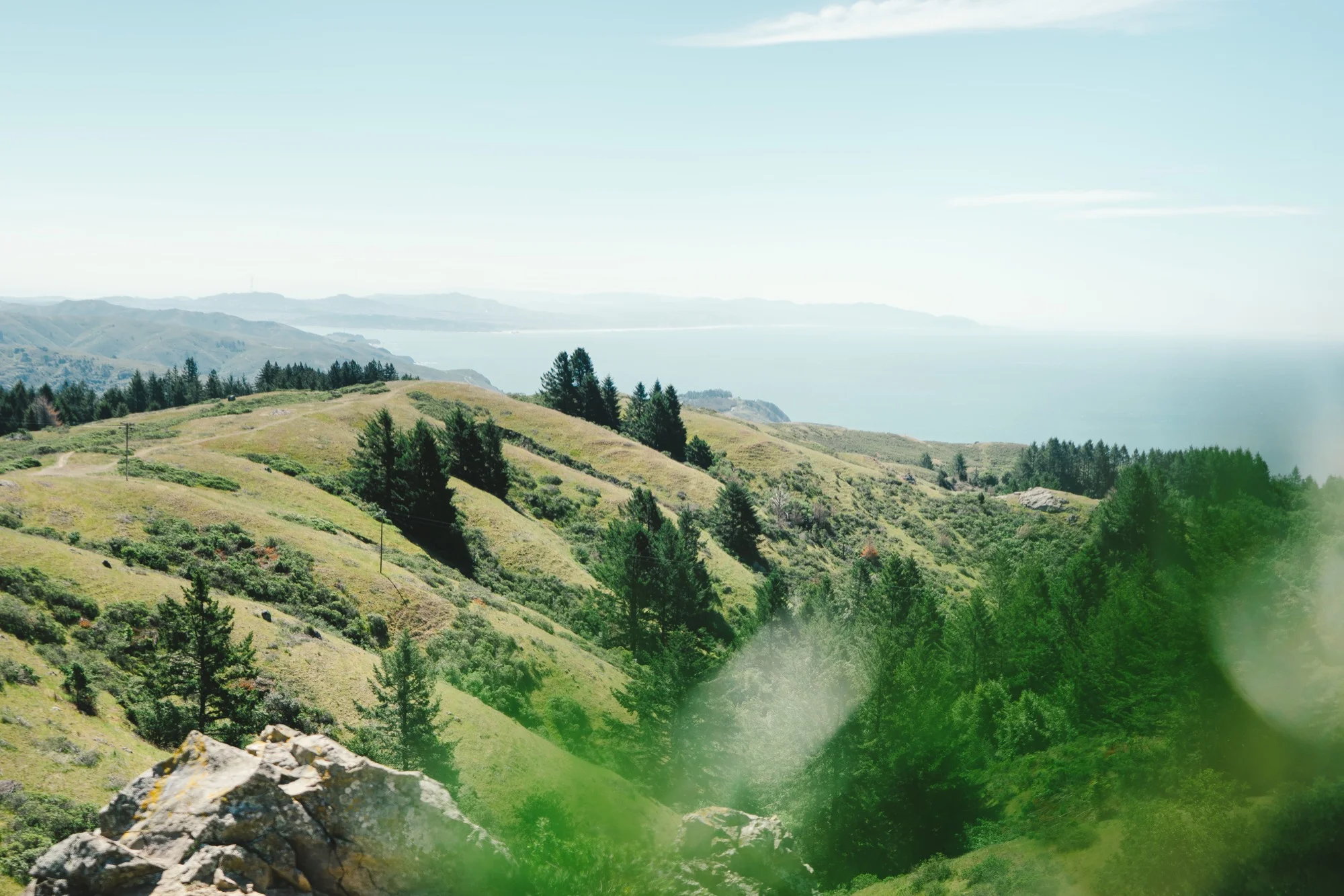 Juniper-Ridge-Wilderness-Perfume_Joel-Baer_118of1326 copy.jpg