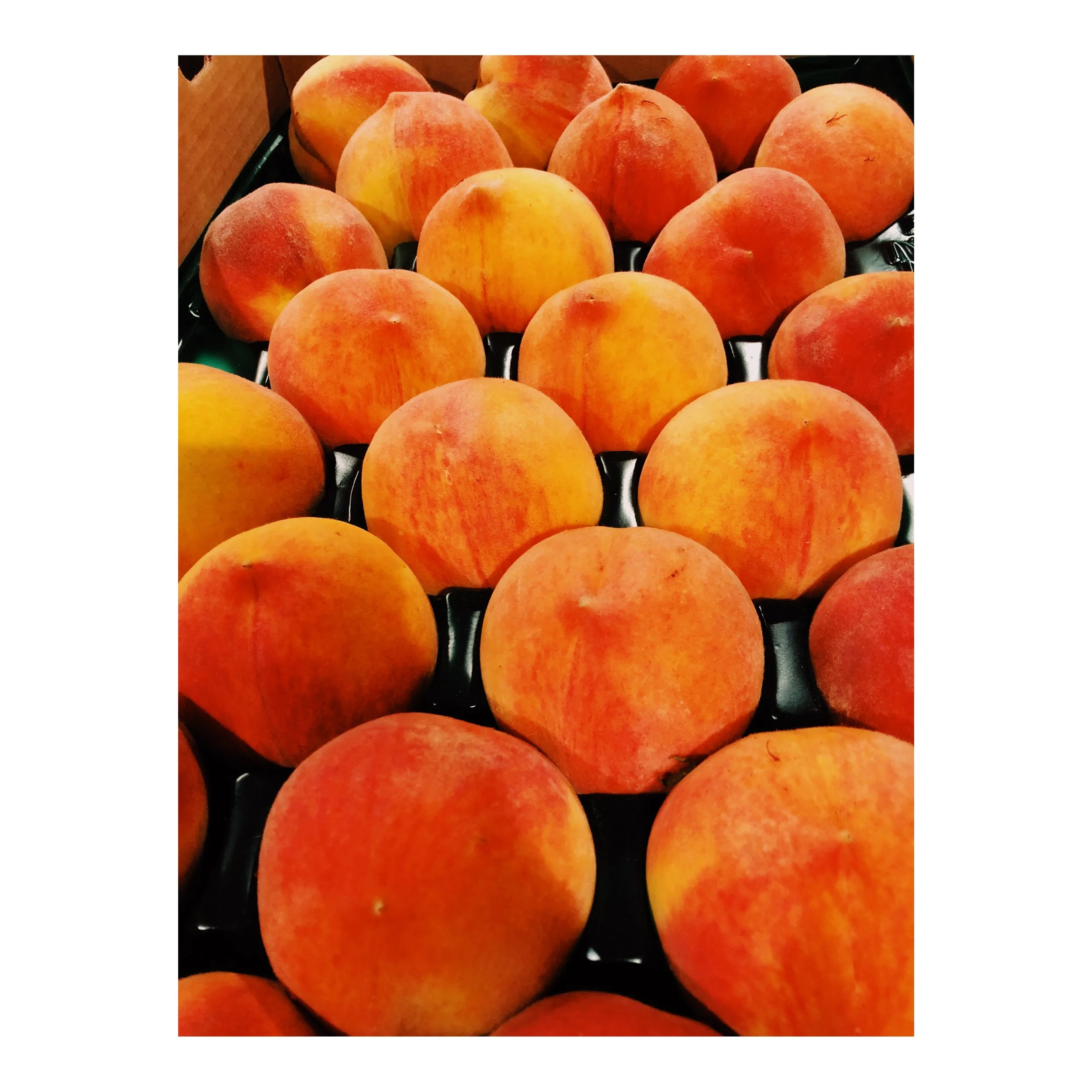 B2FD3D55-38CD-4460-BCD1-8B50656A3F44 2.JPG