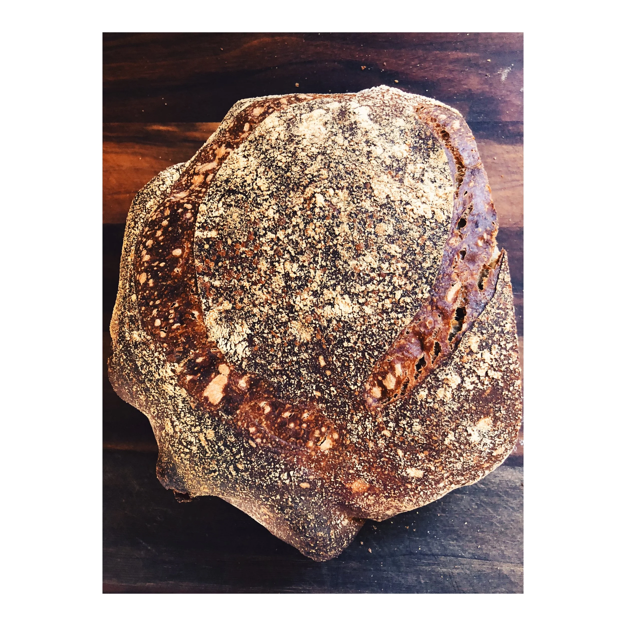 61171D20-6261-4745-B7CC-0AE363AB248D 2.JPG