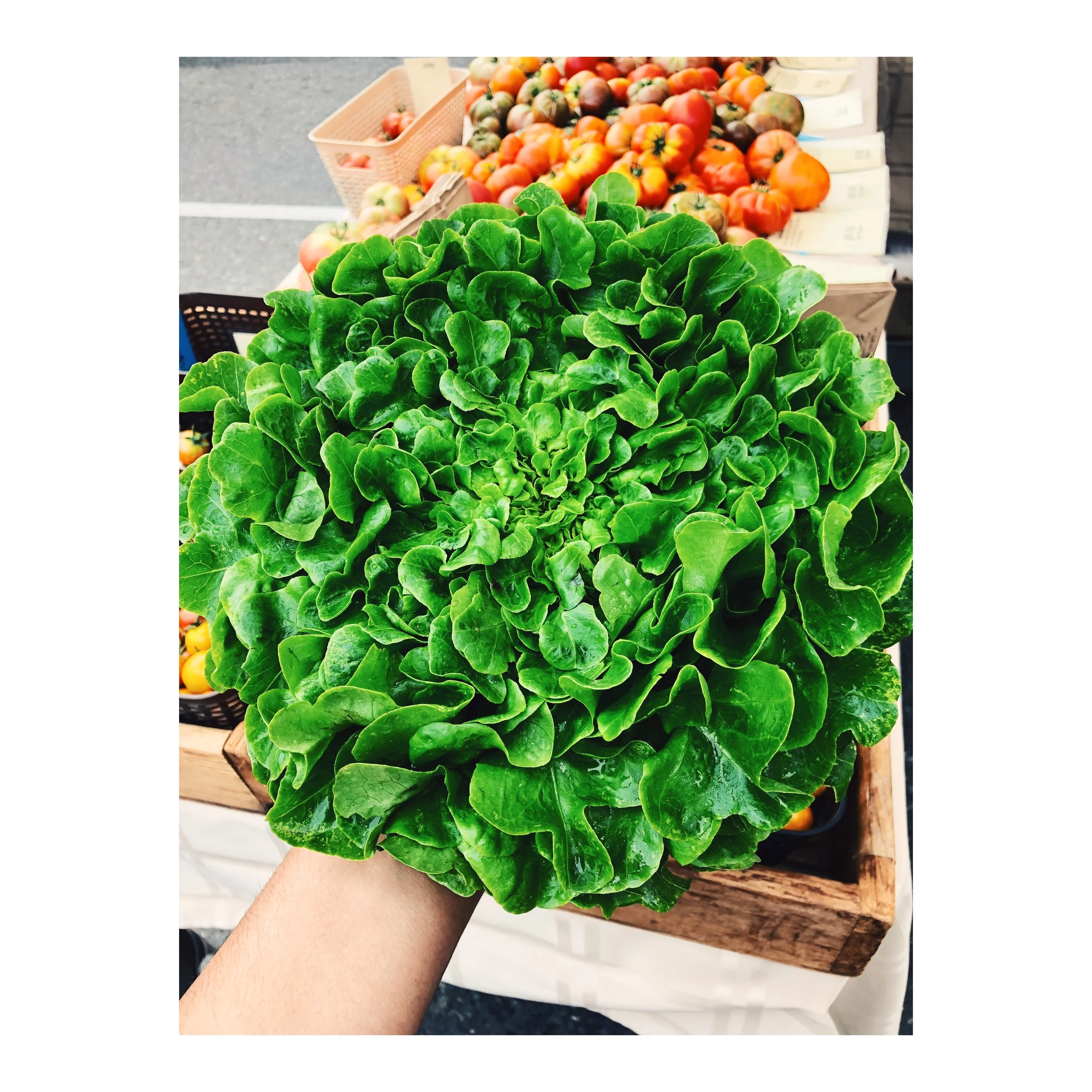 Lettuces with Vinaigrette