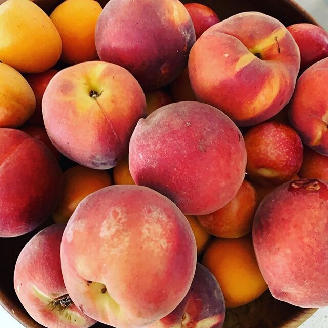 Will this last the week? Probably not! 5lbs of stone fruit from @arnettfarms - white nectarines, yellow peaches, apricots, pluots, and cherriums. And yes, I&rsquo;m making some jam with this too ❤️