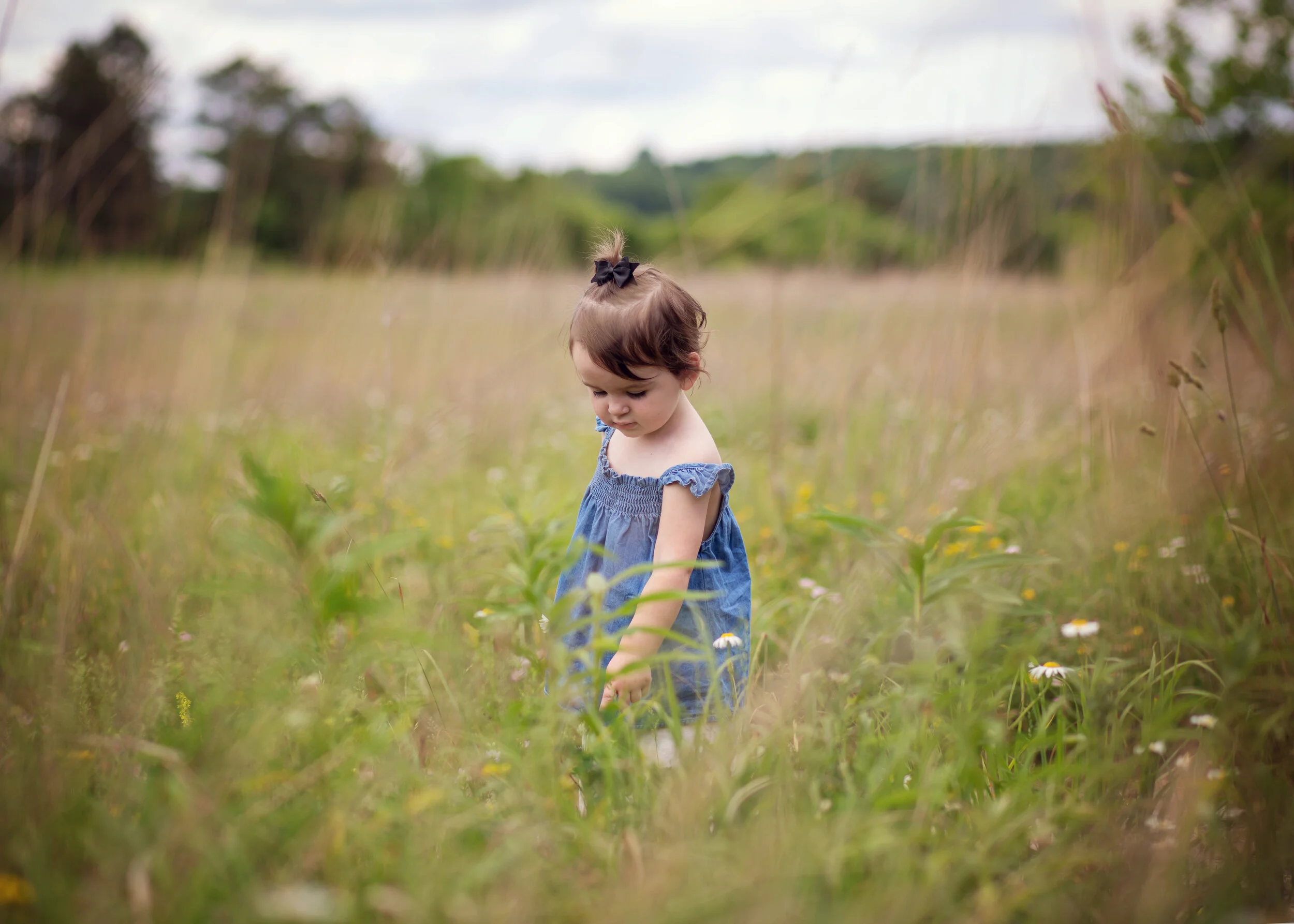 Children's Photographer | Kelly Rhoades Photography