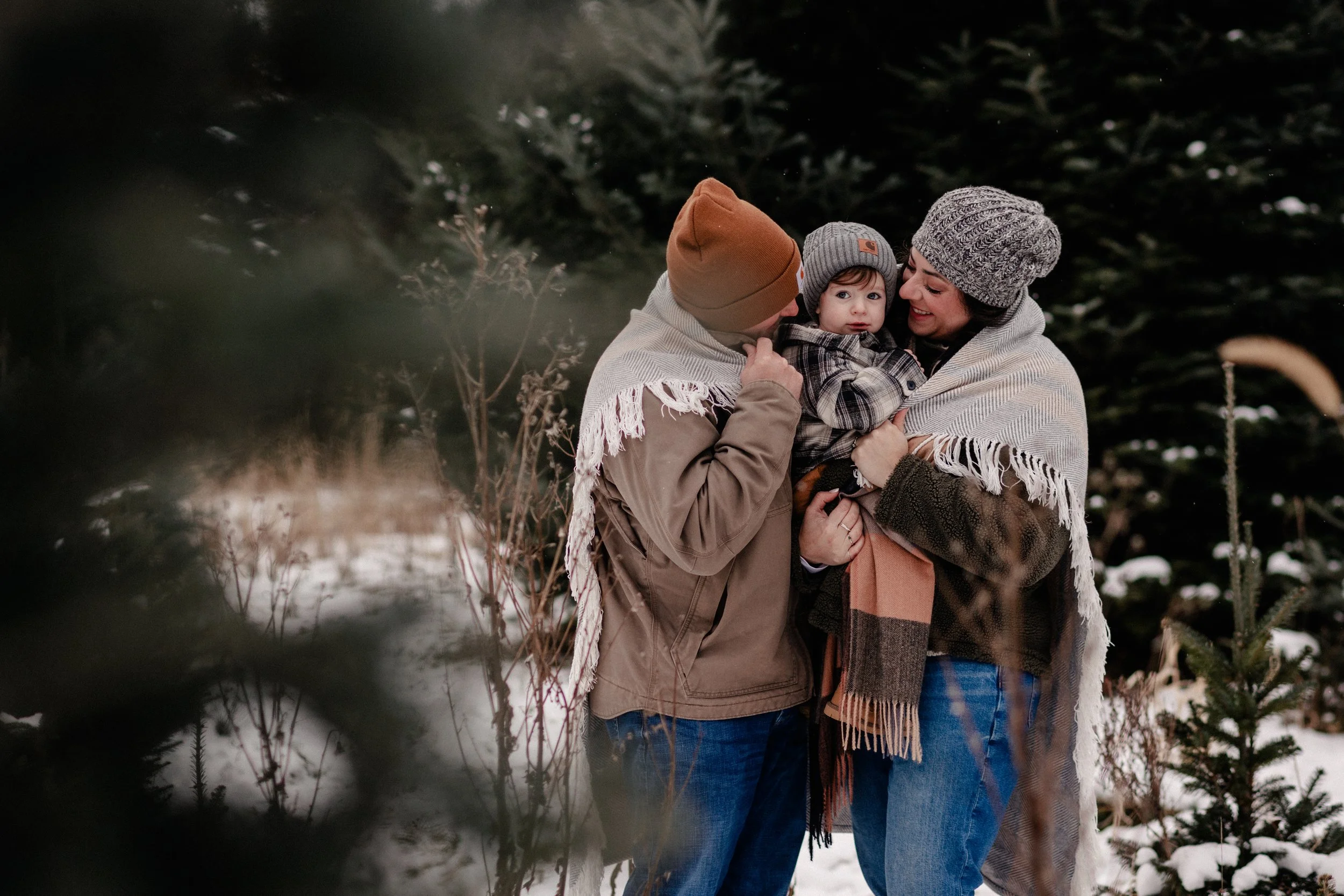 Christmas Tree Farm Mini Sessions!