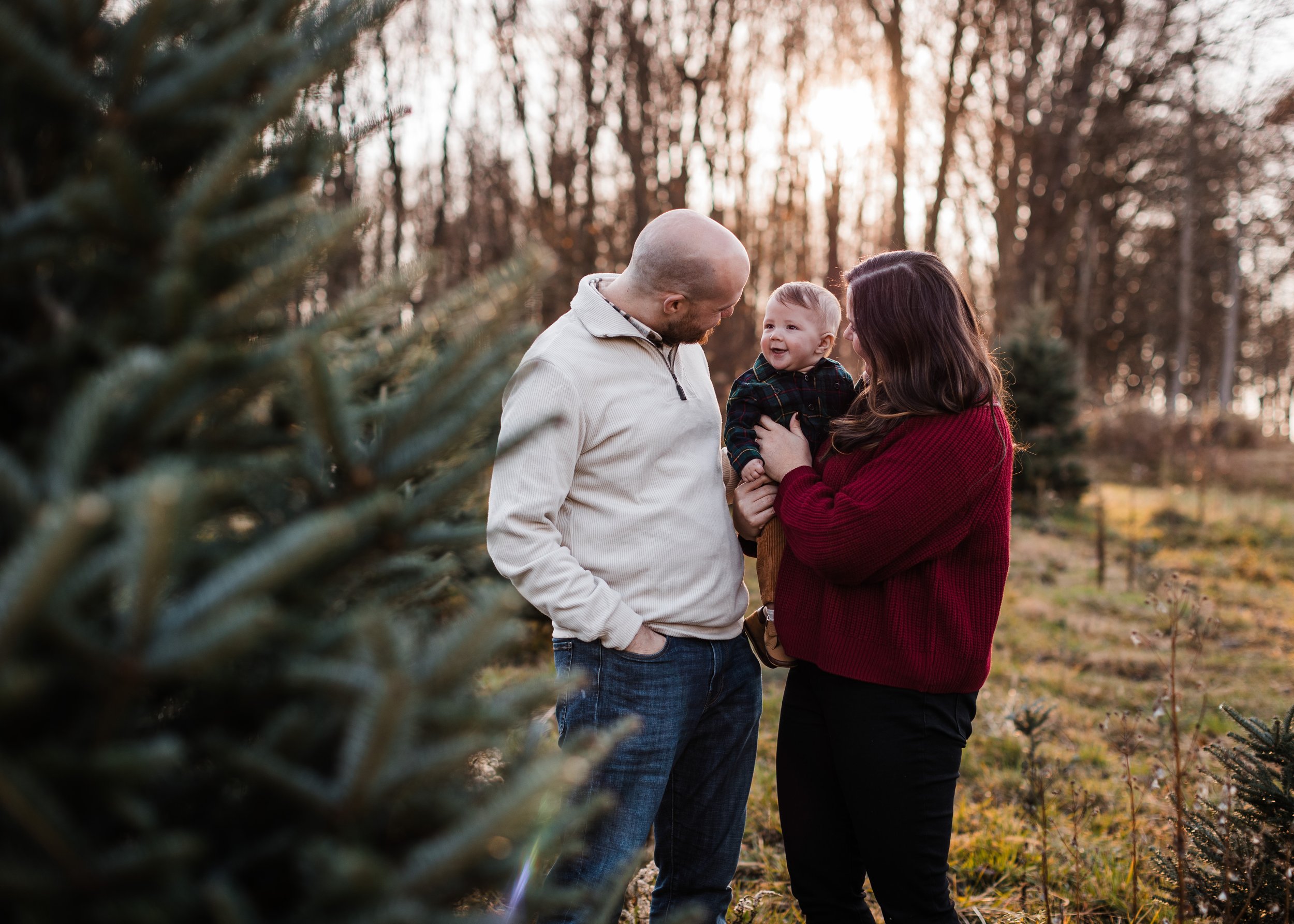  Holiday Family Session 