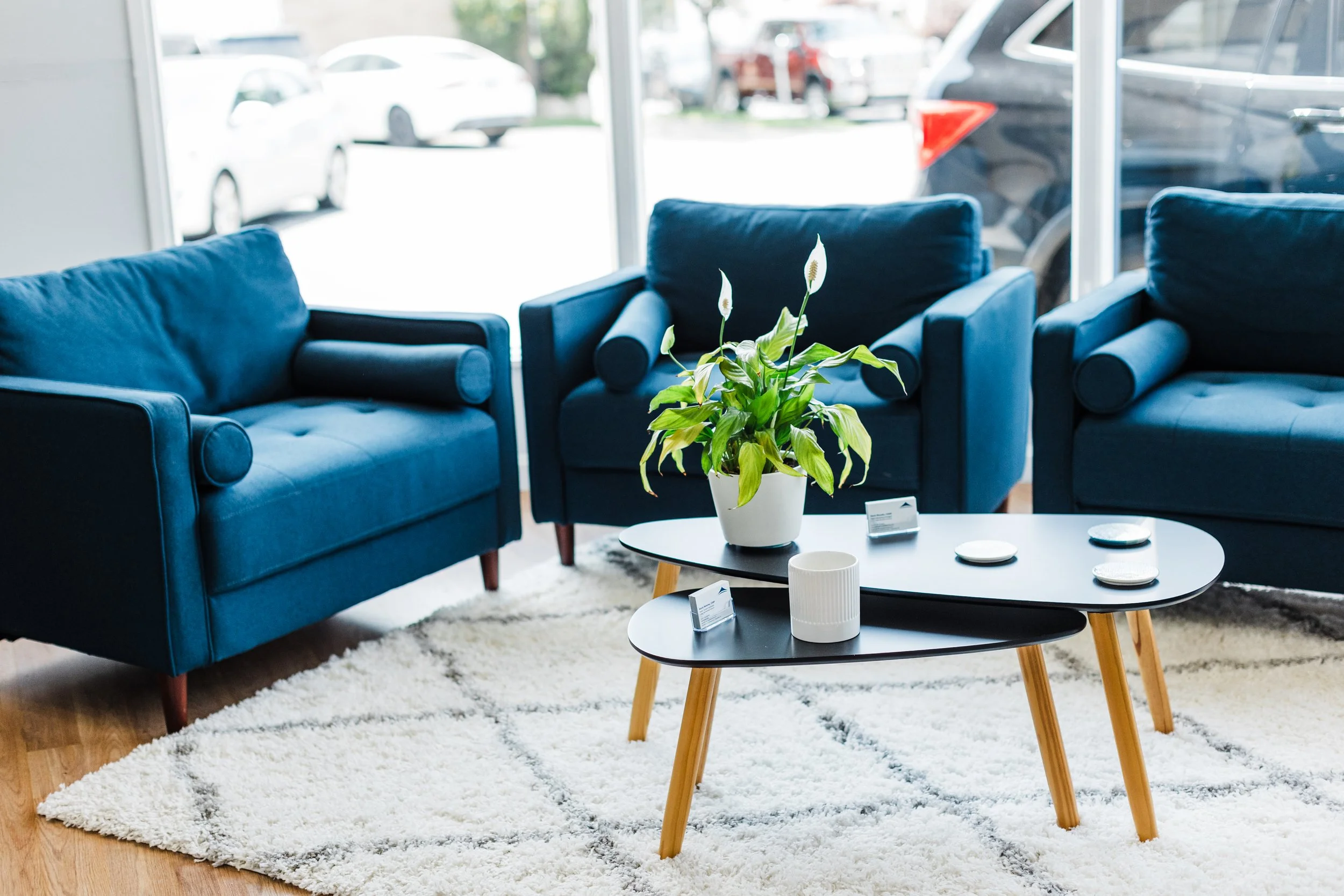 Blue Canopy Marketing | A Branding Session