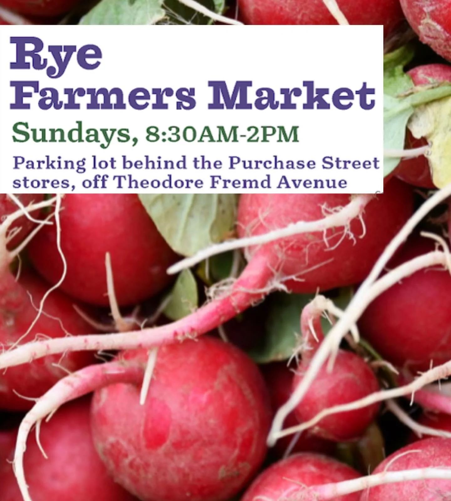 Tomorrow, Sunday, June 12th! Come down to the Rye Farmer&rsquo;s Market! 🥕🌽🍅 @downtoearthmkts 

Sponsored by The Rye Chamber of Commerce!

#ryemoms #10580 #loveryeshoplocal #ryeny
