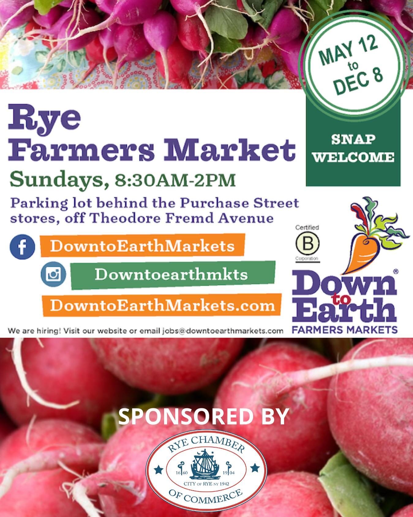 Come on down to the Rye Farmer&rsquo;s Market today!
🍑🍓🍒🍌🍎🍊🥒🌽🥦
Sponsored by The Rye Chamber of Commerce!