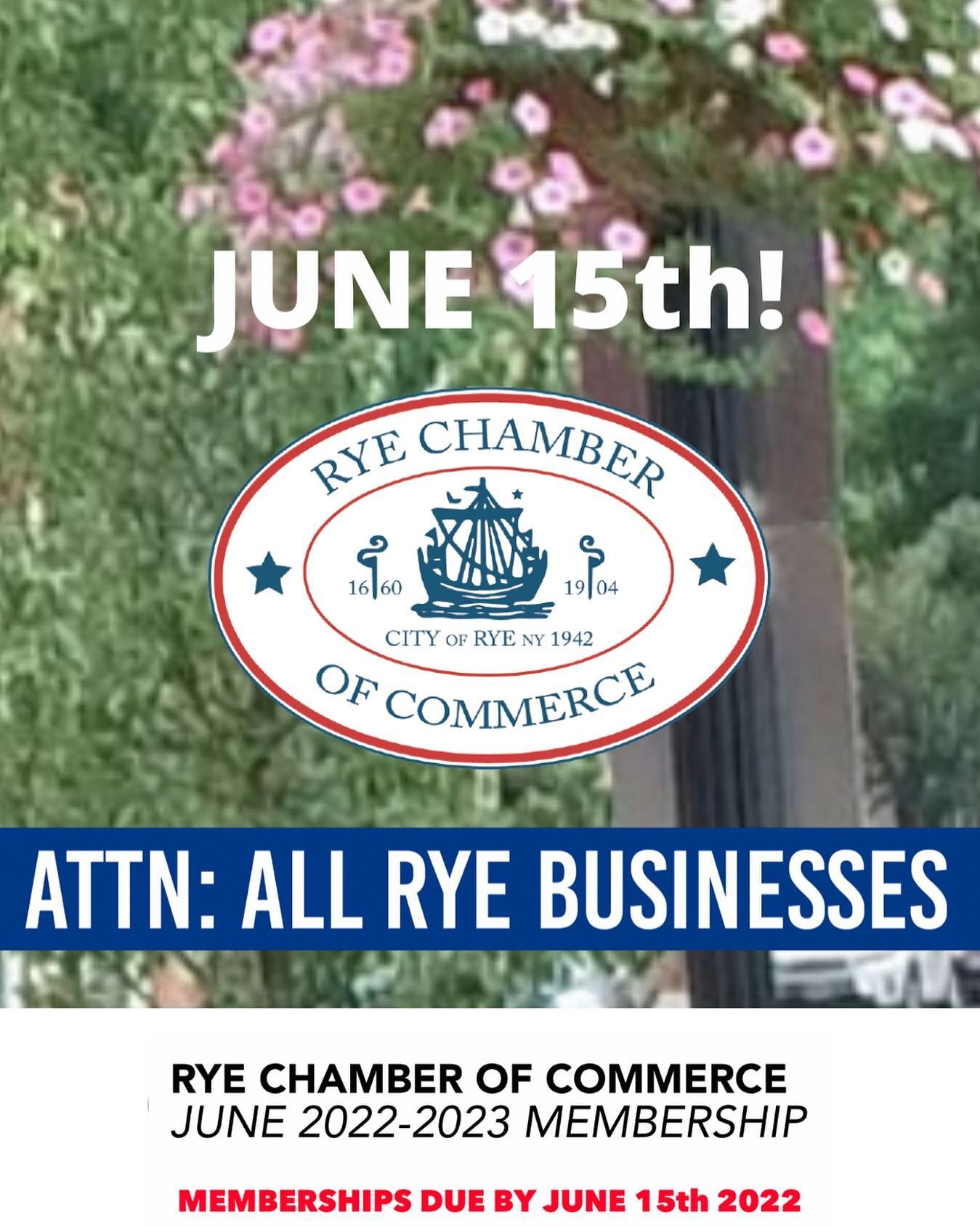 Today is the day! Memberships due!

Key benefits to being a member of the RCC: 

&bull; A local network of community business and residents that can help your business make connections and be part of upcoming events and opportunities in Rye. 

&bull;