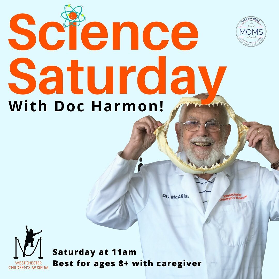 Science Saturday with Doc Harmon 
Deconstruction Workshop
 
June 18- 11am-12pm
 
Description: 
Have you ever wondered what was inside a clock or keyboard? How do they work? We talk a lot about construction&hellip; but what happens when you take thing