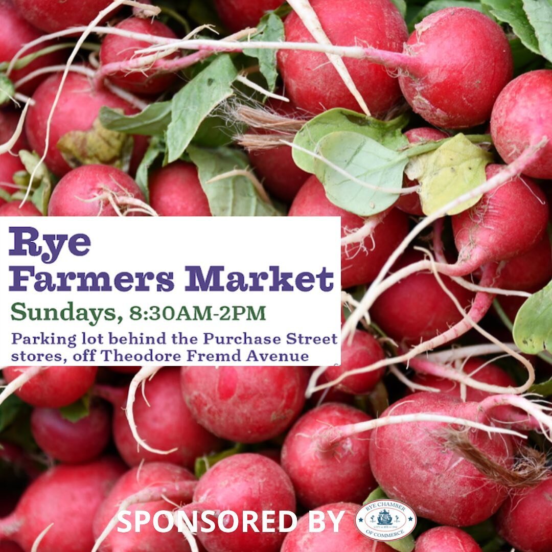Come on down and check out the Farmer&rsquo;s Market today!