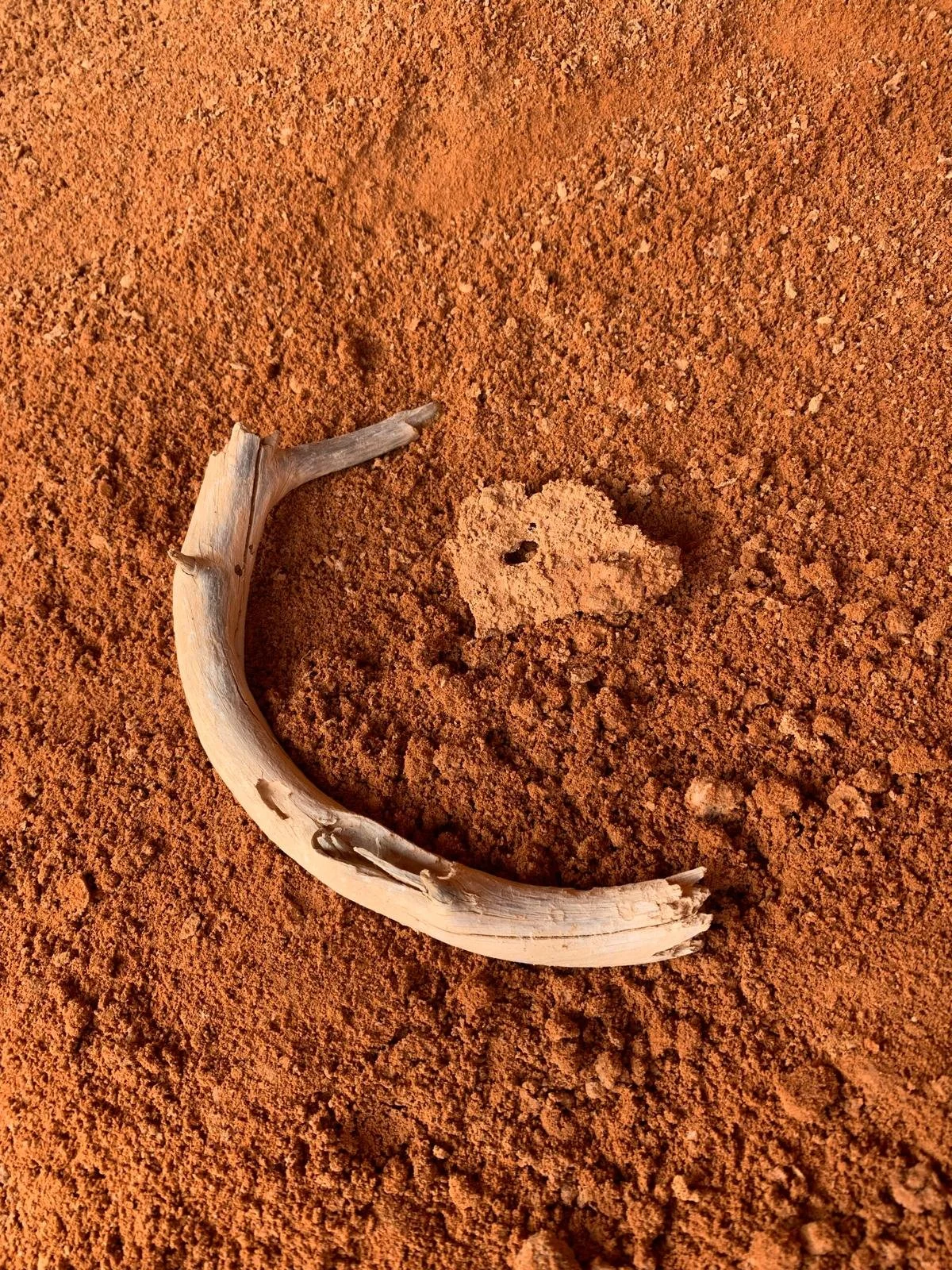 WhatsApp Image 2025-04-09 at 22.51.53.jpeg