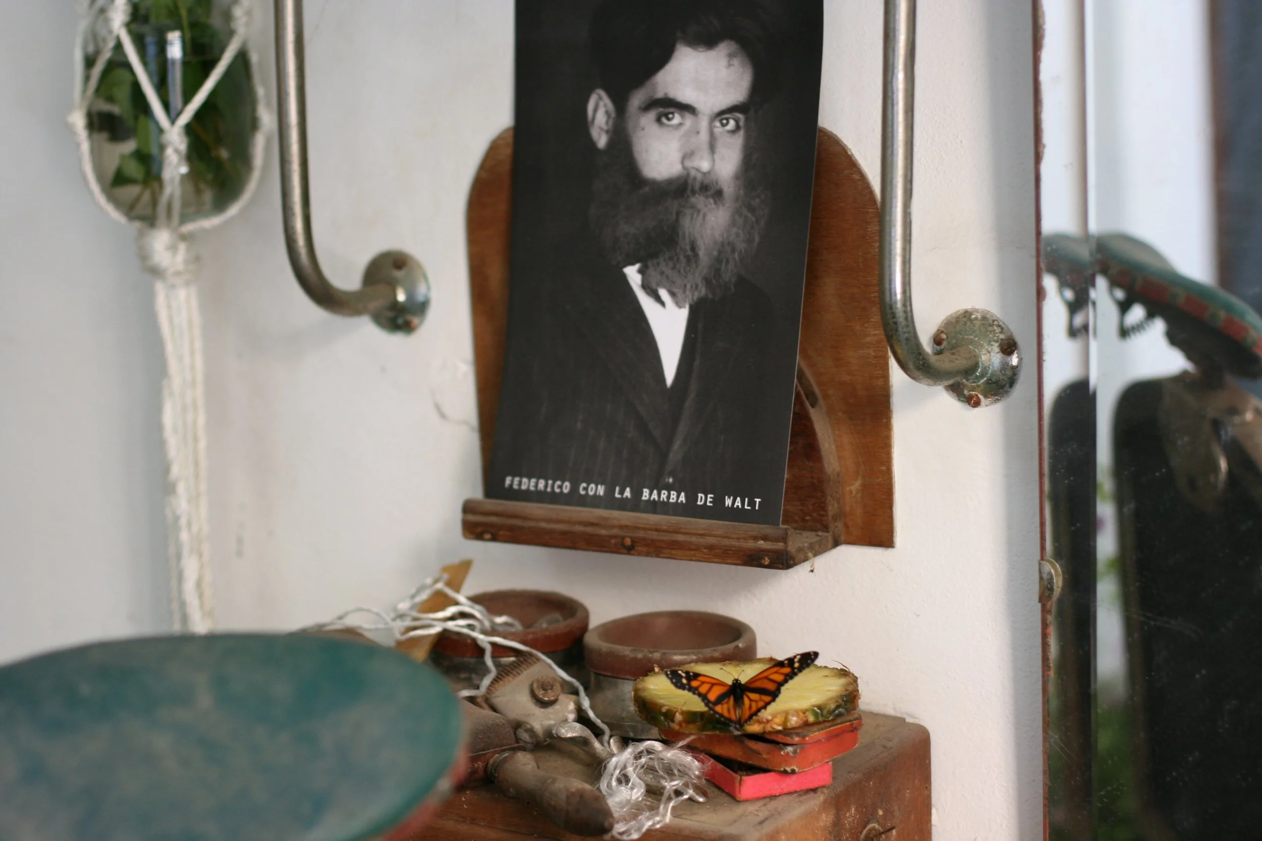 Mariposes Walt Whitman 04.jpeg