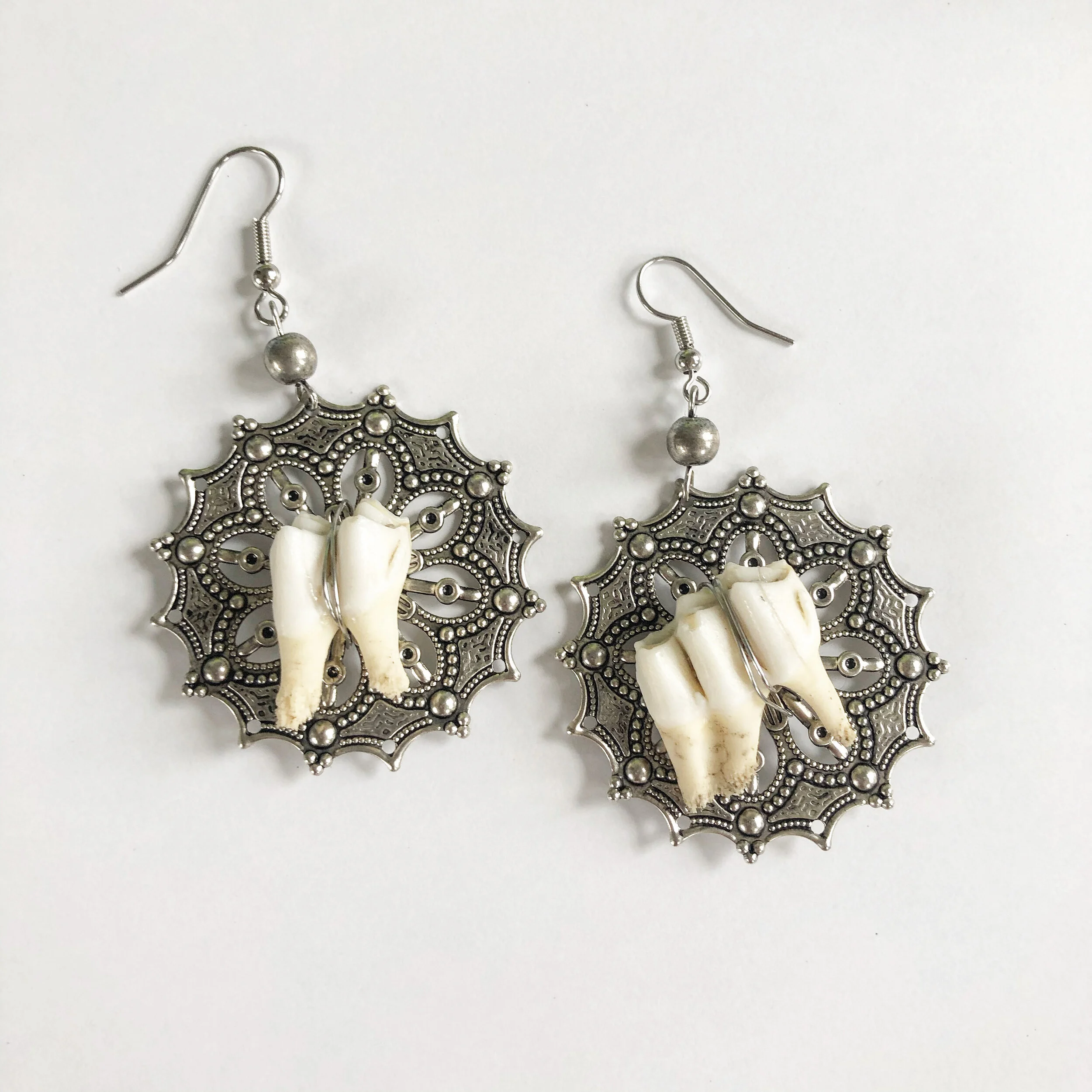 Deer Tooth Earrings