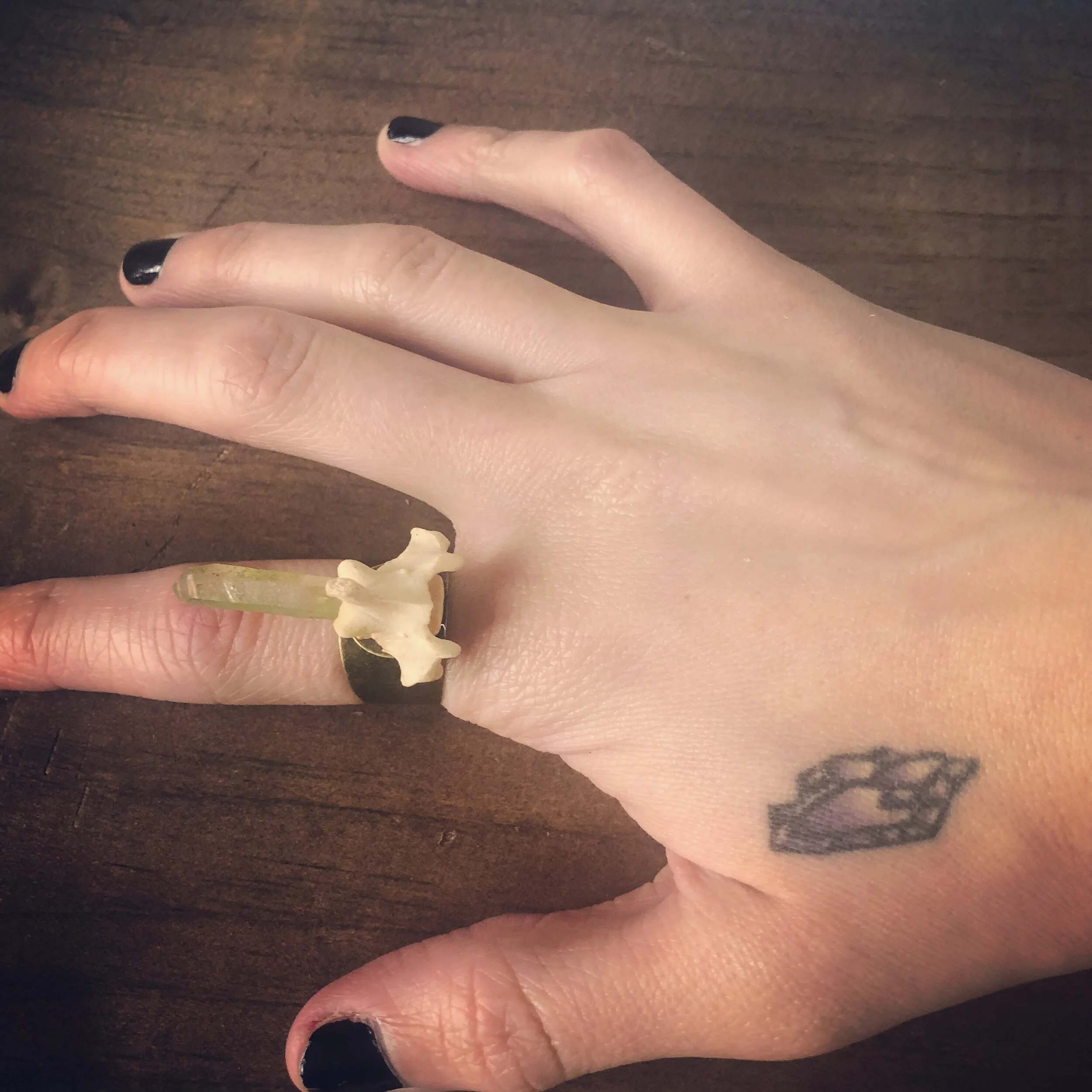 A48BABE8-FFF2-45BA-A516-EB5330F9D096