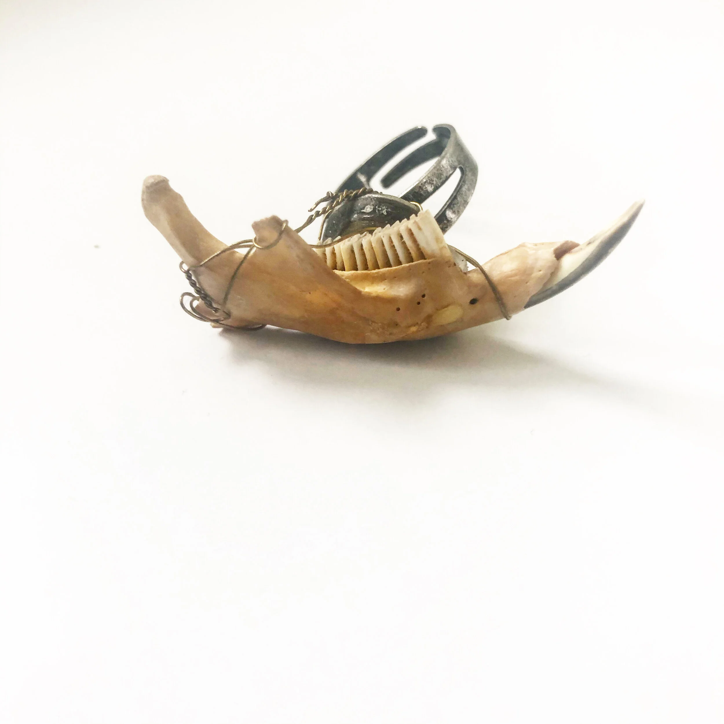 BA8186E5-91DC-4AEB-AD90-F6CEDAF8A768.JPG