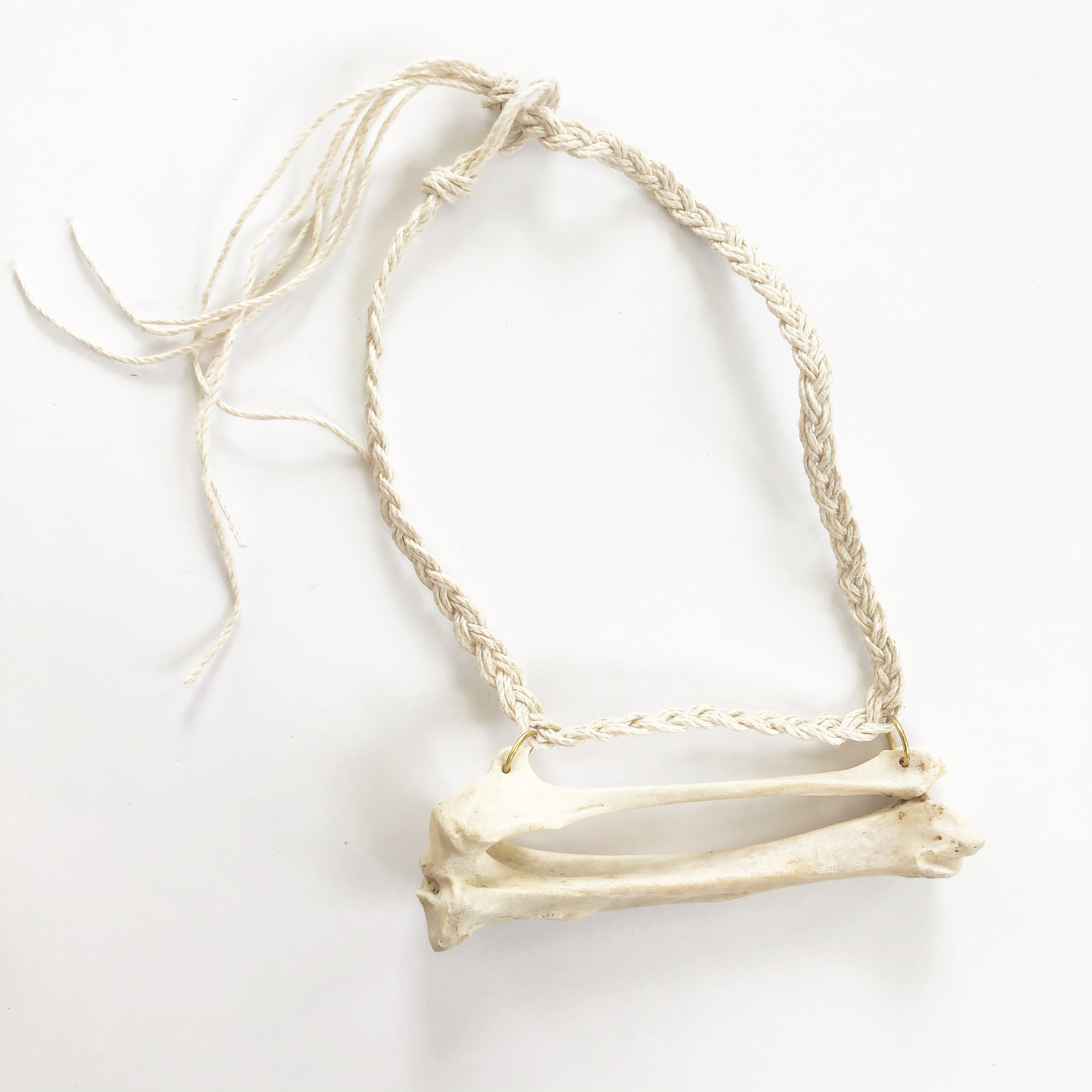 C93444E3-5B8F-452F-9855-4C8CCA3E5C56 2.JPG