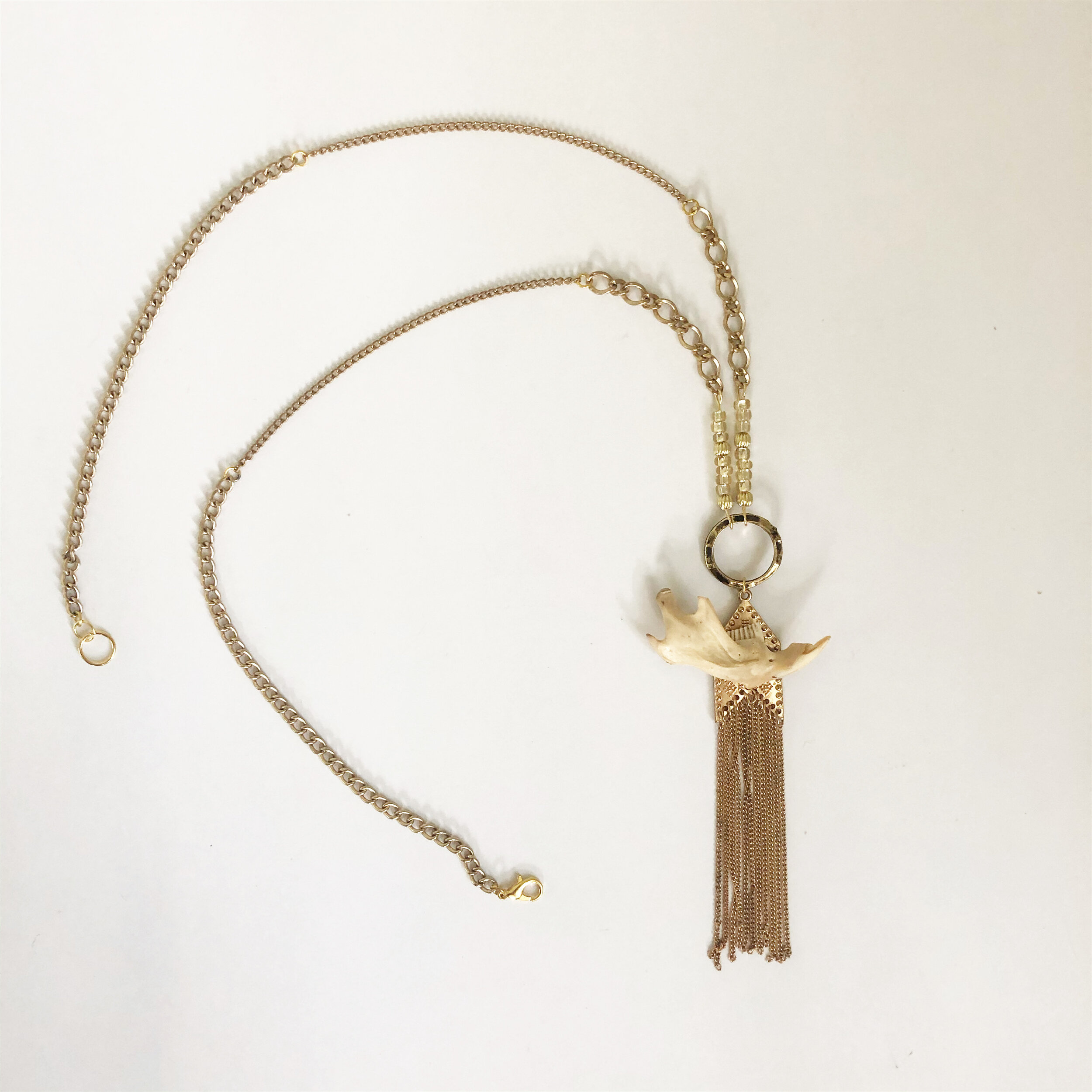 Muskrat Mandible Necklace