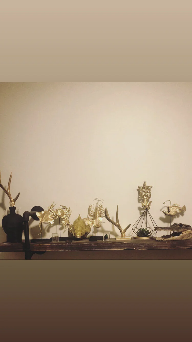 C7701546-7962-421C-8A85-94D24CDA43F2