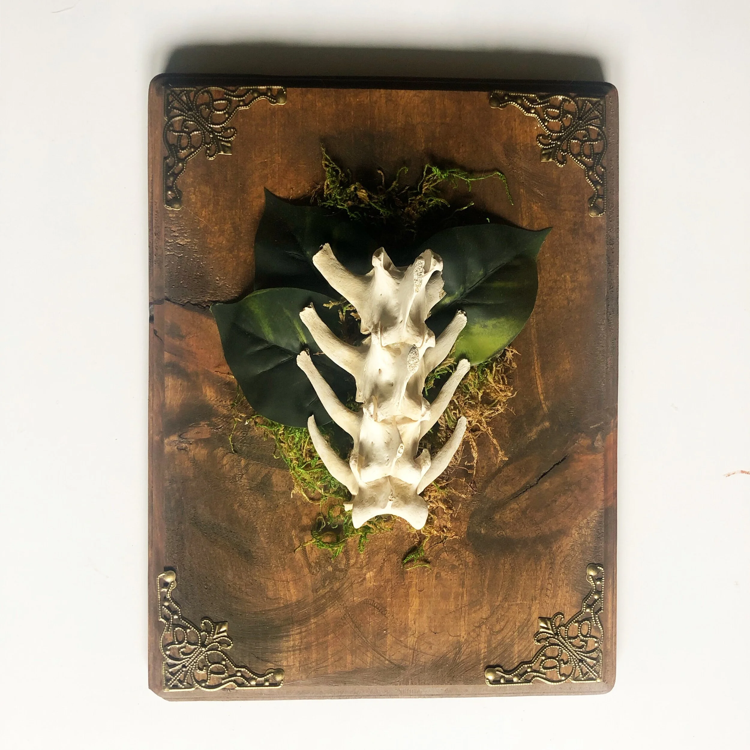 8BC98C34-D0E5-4DC0-AB82-C03338A9443C