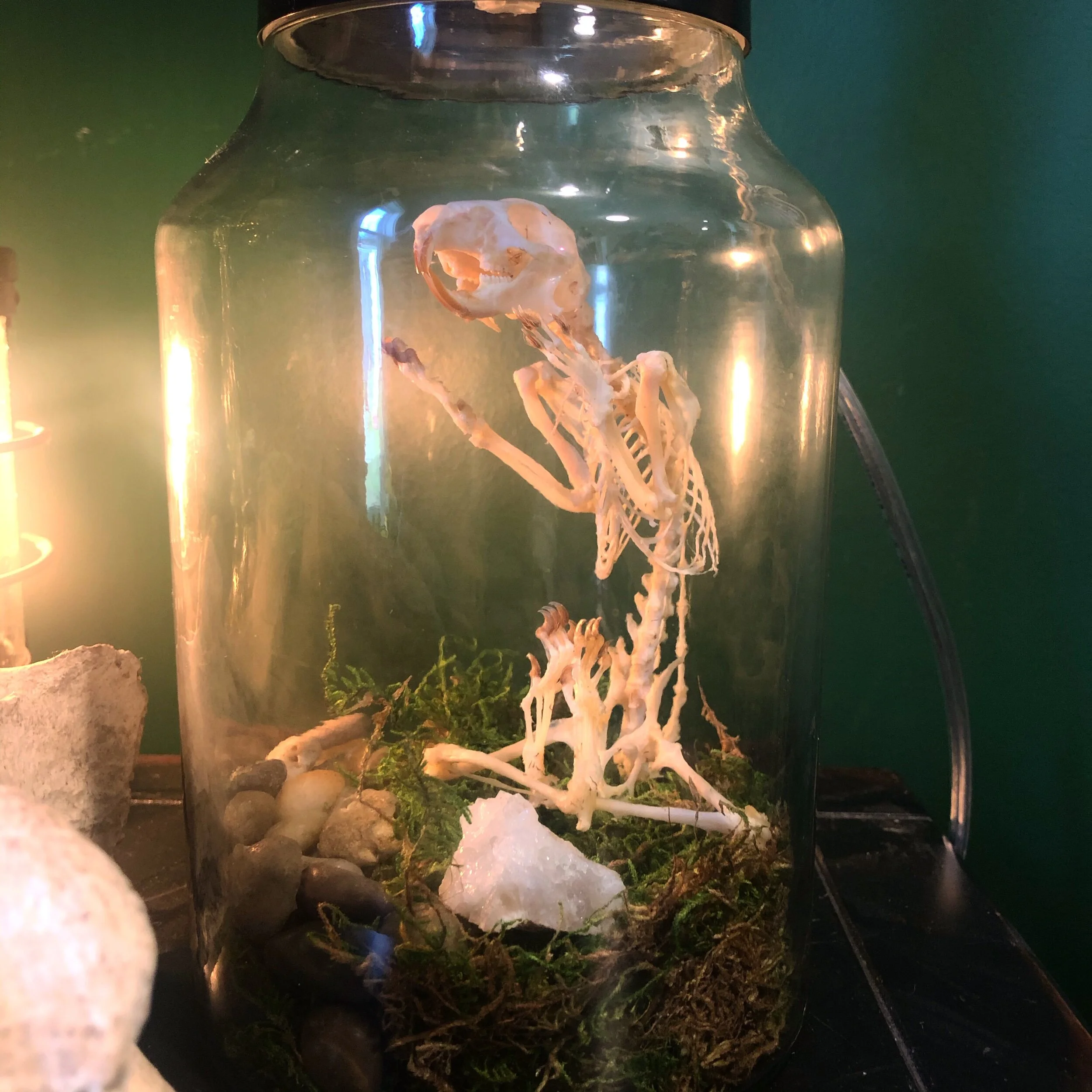 65BE9BB8-9FFB-4AB6-A896-956785239FDC