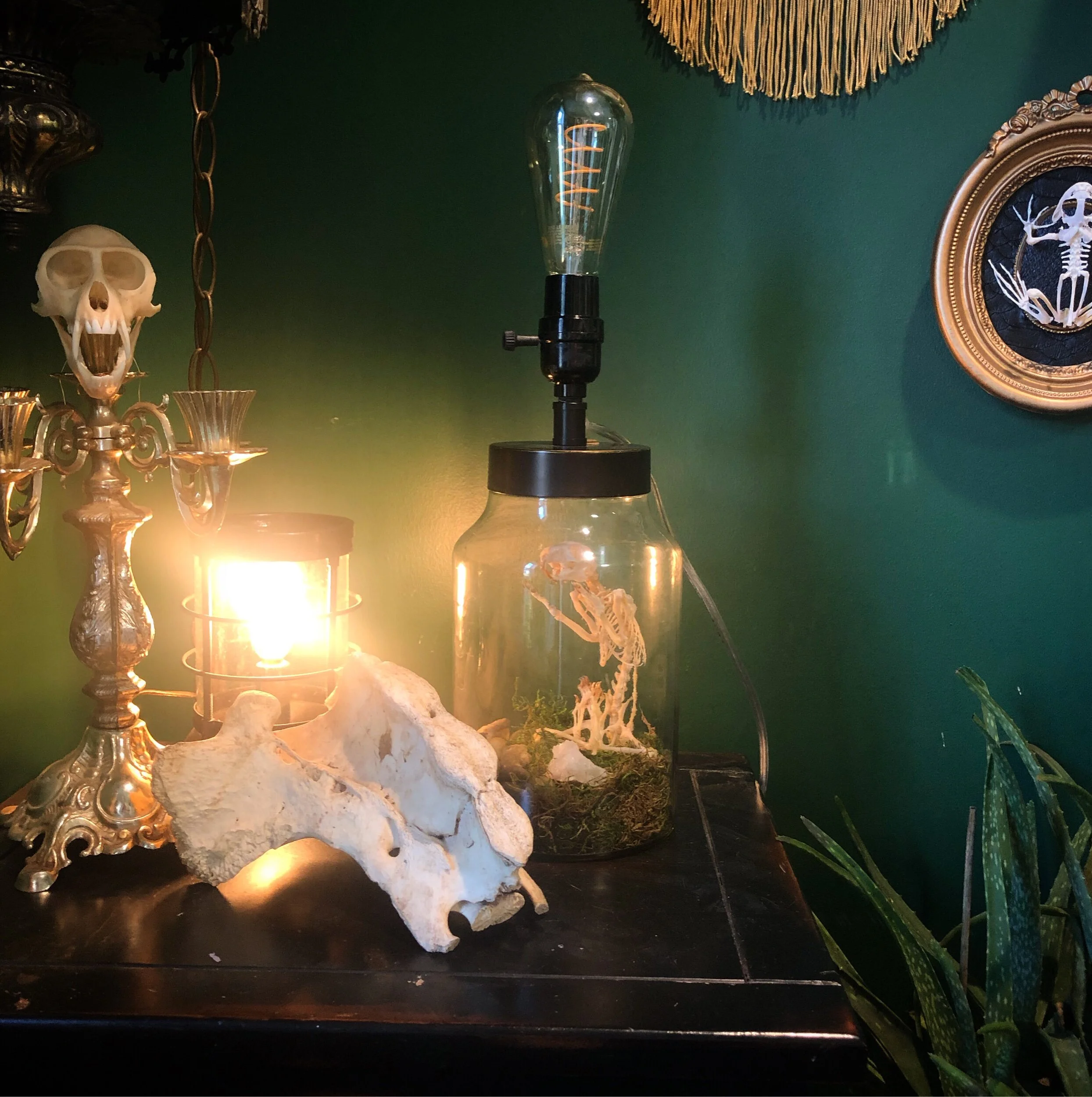 B8BD5E77-2A60-428C-8D00-CA7BB0B78DC1