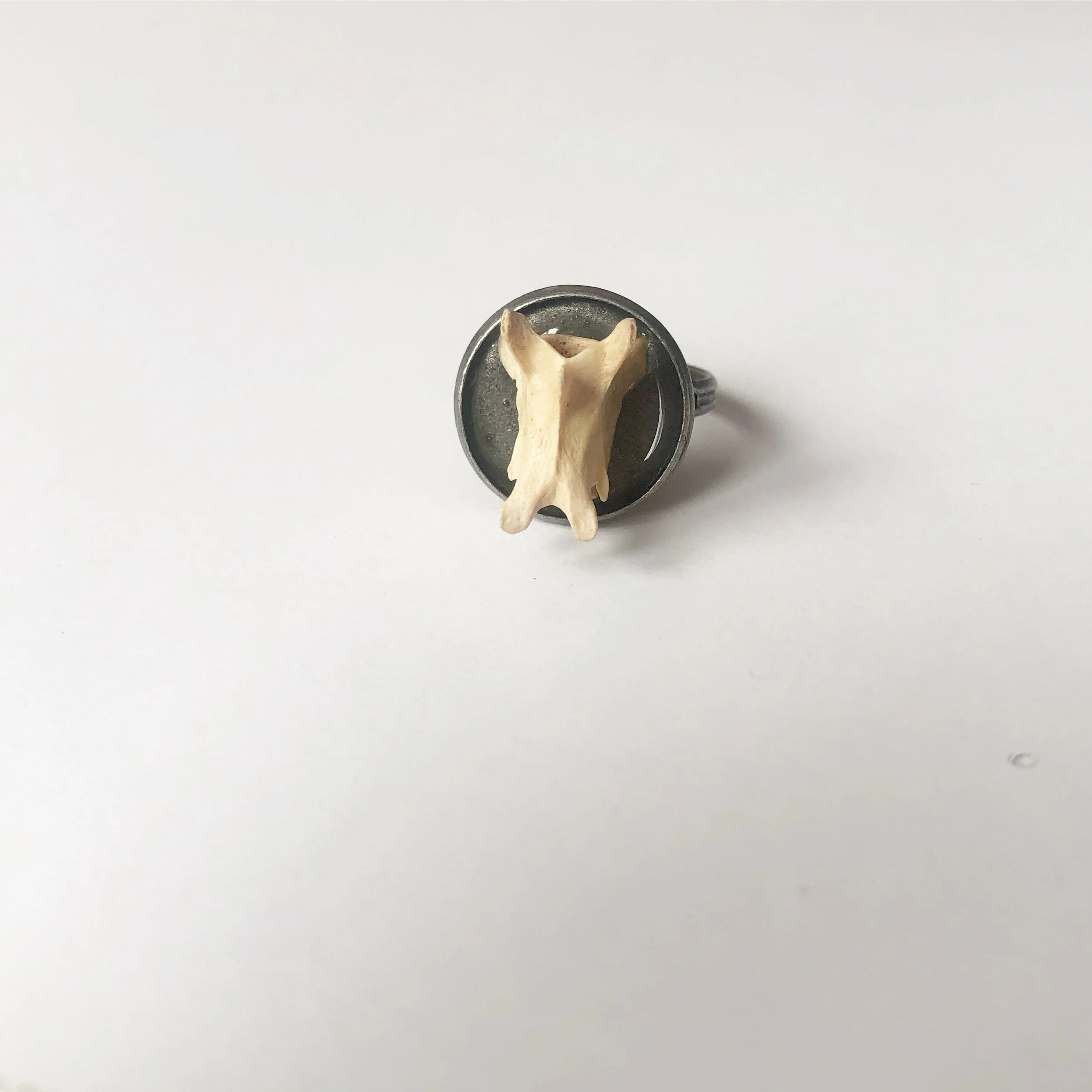 A797F006-661F-49DC-8482-1DC7DD64338A 2.JPG