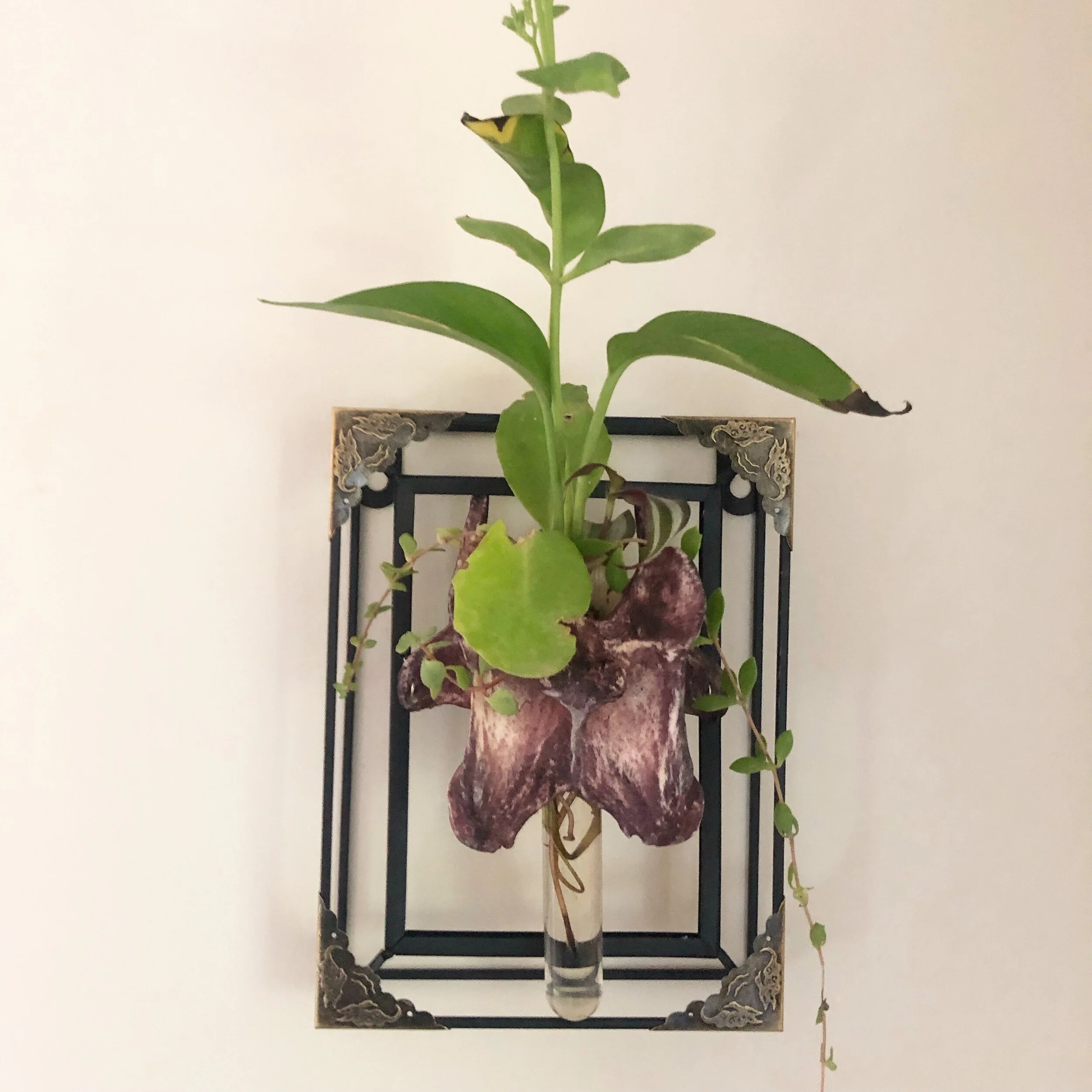 75670D19-BC80-4851-949C-746139B4BCDA