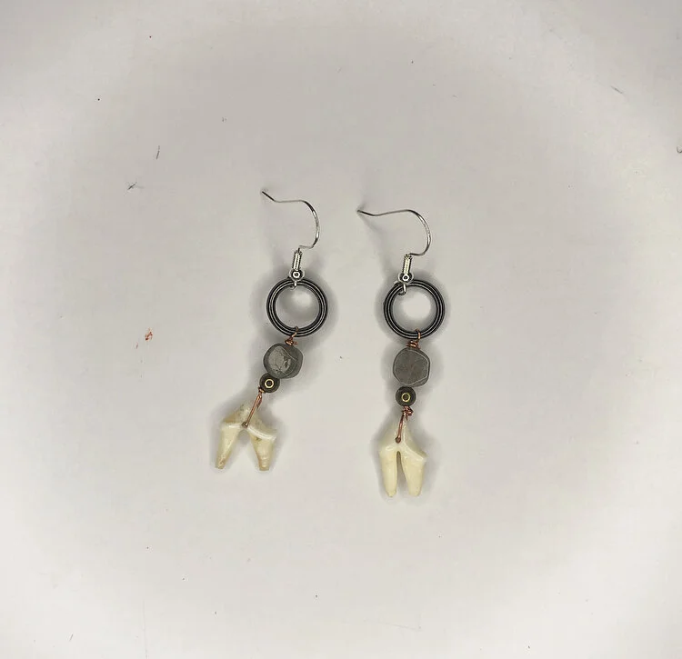 E7231BE6-5835-4480-8FB1-219604EB8769