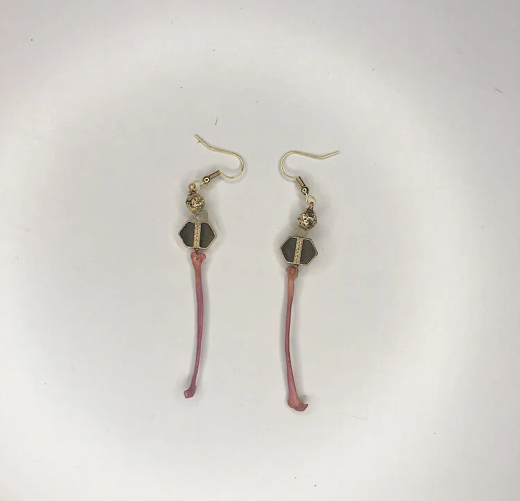 595D12D6-5EBE-4F54-92C5-EF86F2EBAF8C