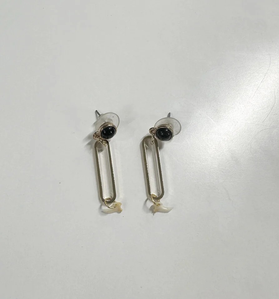 4649A7EC-B079-4403-9AF5-DE94D2D0D969