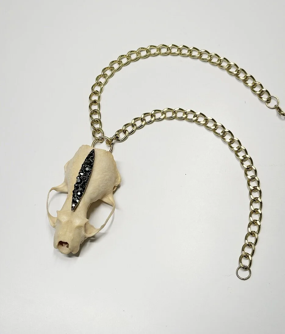 79D3EBD9-17A9-4B57-ABAC-D0EBD291460D