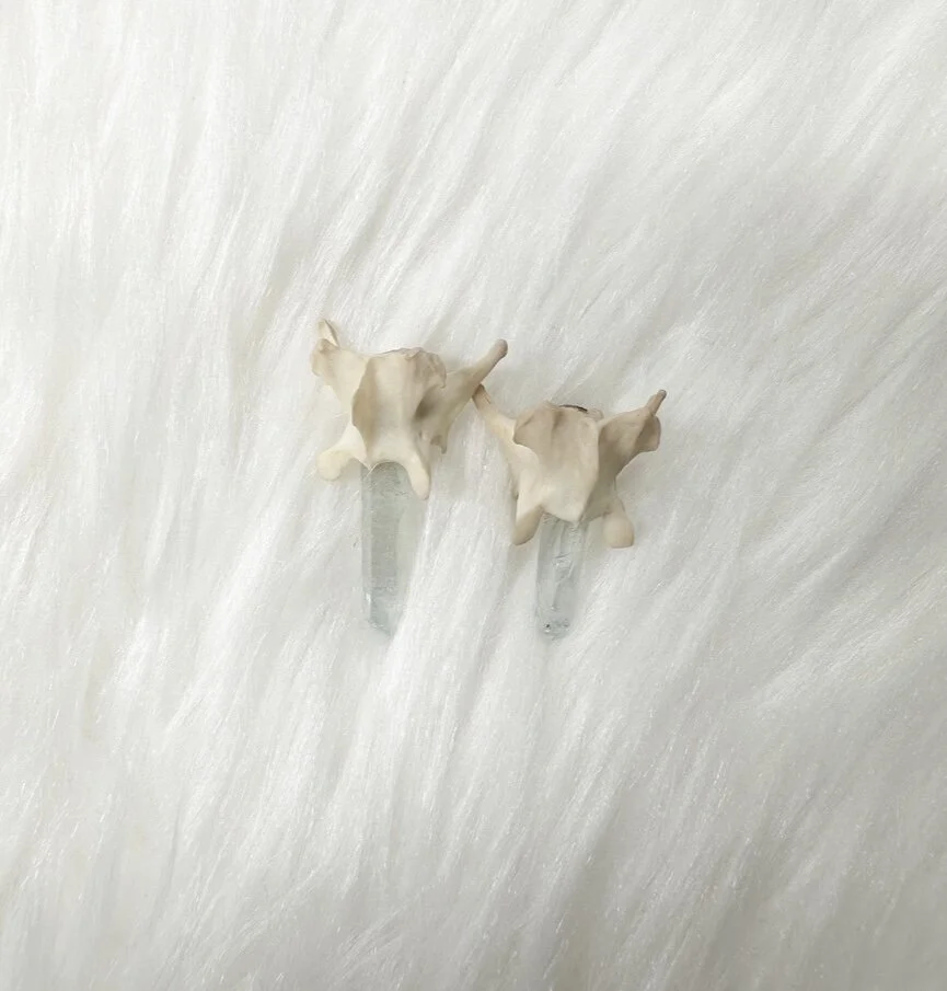 9F53CCC6-88D7-4A51-90FB-232E2F25B34A