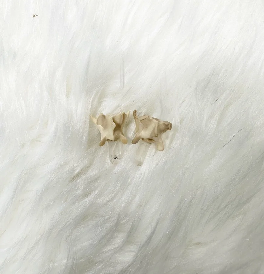 9055830C-15B2-4588-92F8-EA145B3267BB